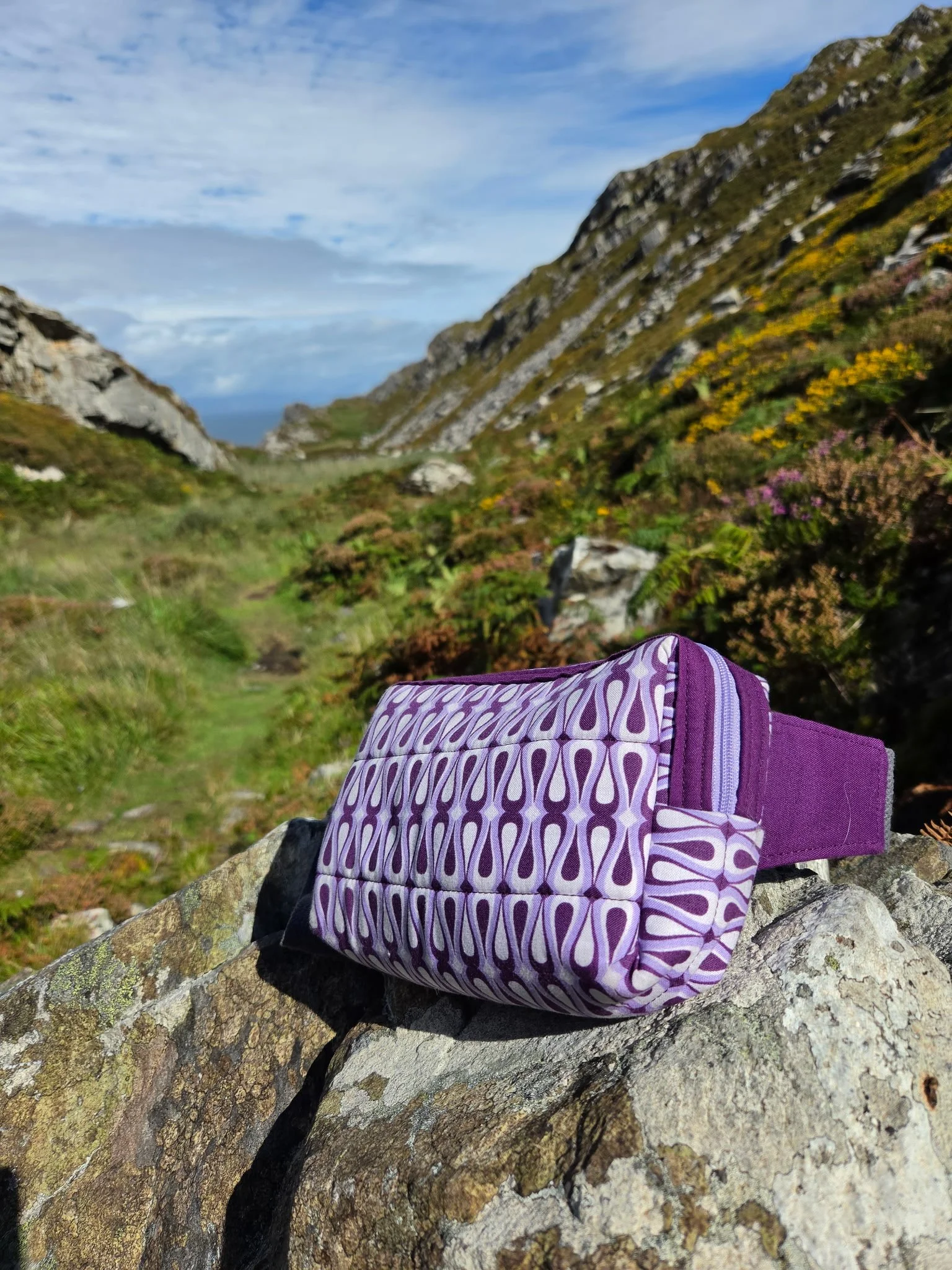 Purple Alpen Crossbody Bag.jpg