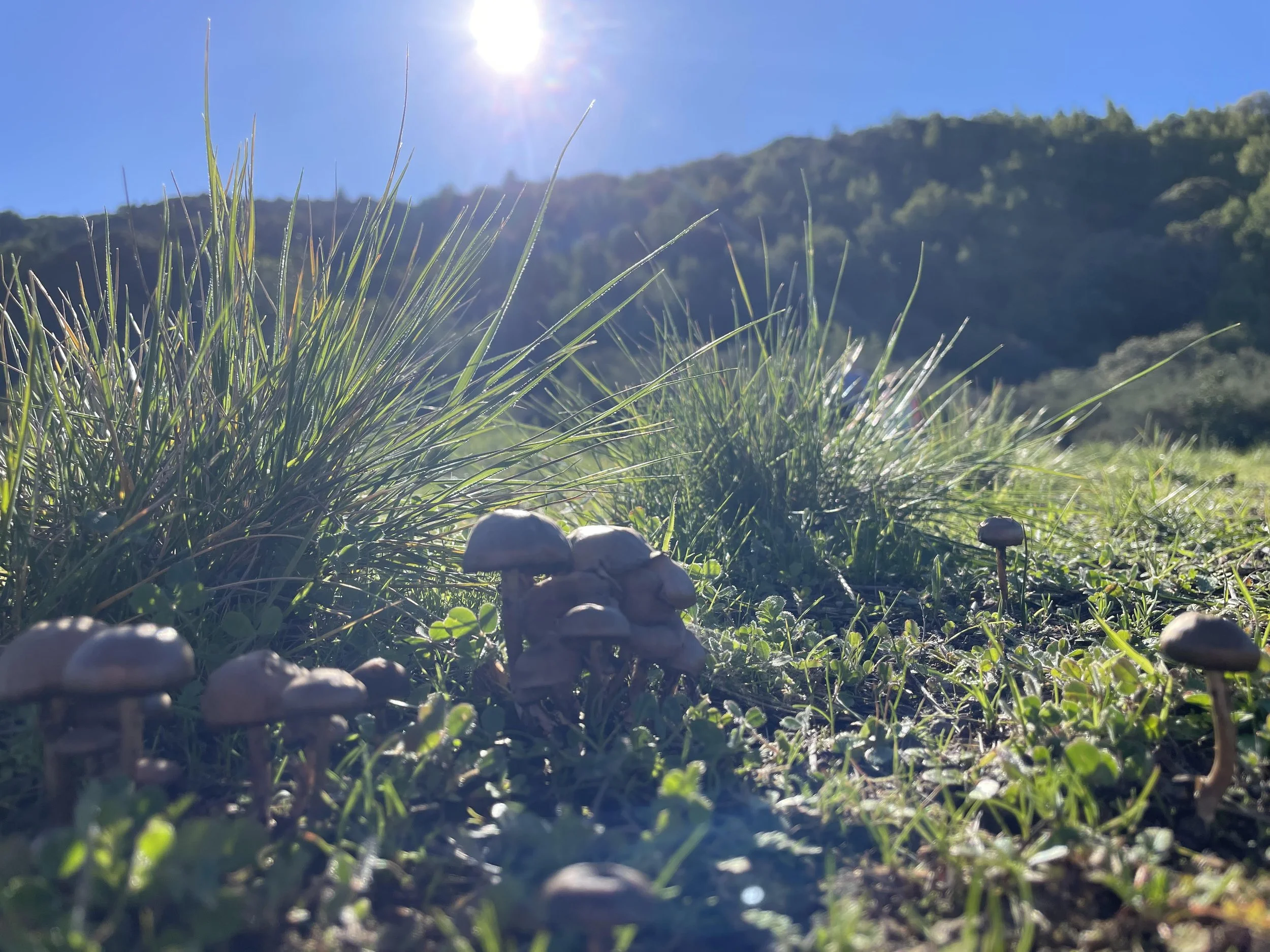 Am I already part of The Movement for Interdependence? 