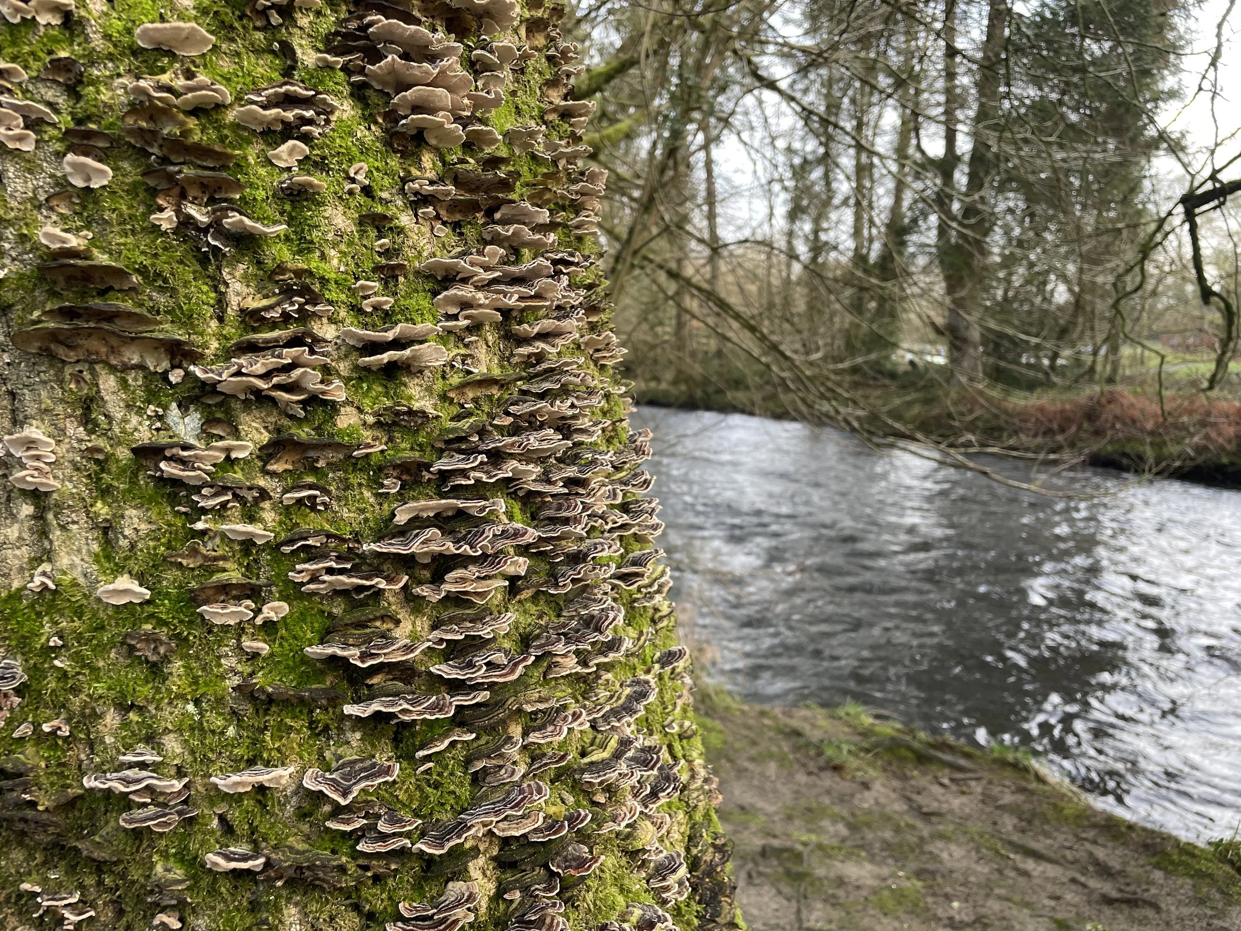 What is interdependence and why do we need a movement for it?