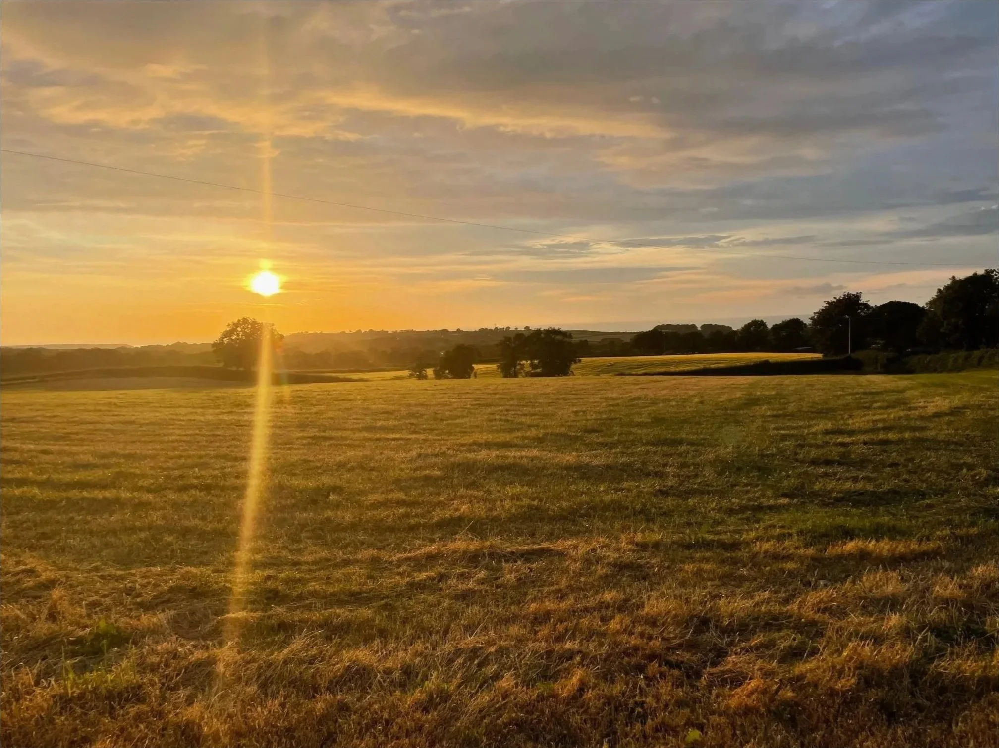 Cultural approaches to environmentalism