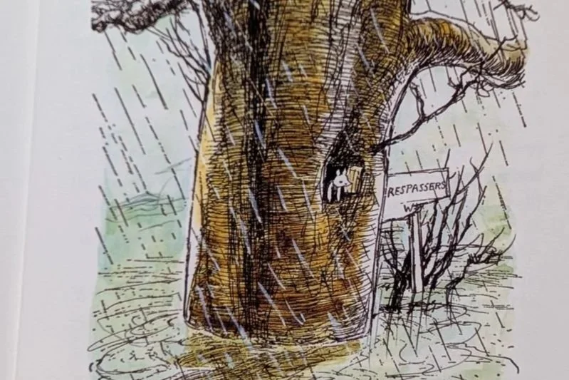 Guest post: What Winnie-the-Pooh teaches us about resilience and working together 