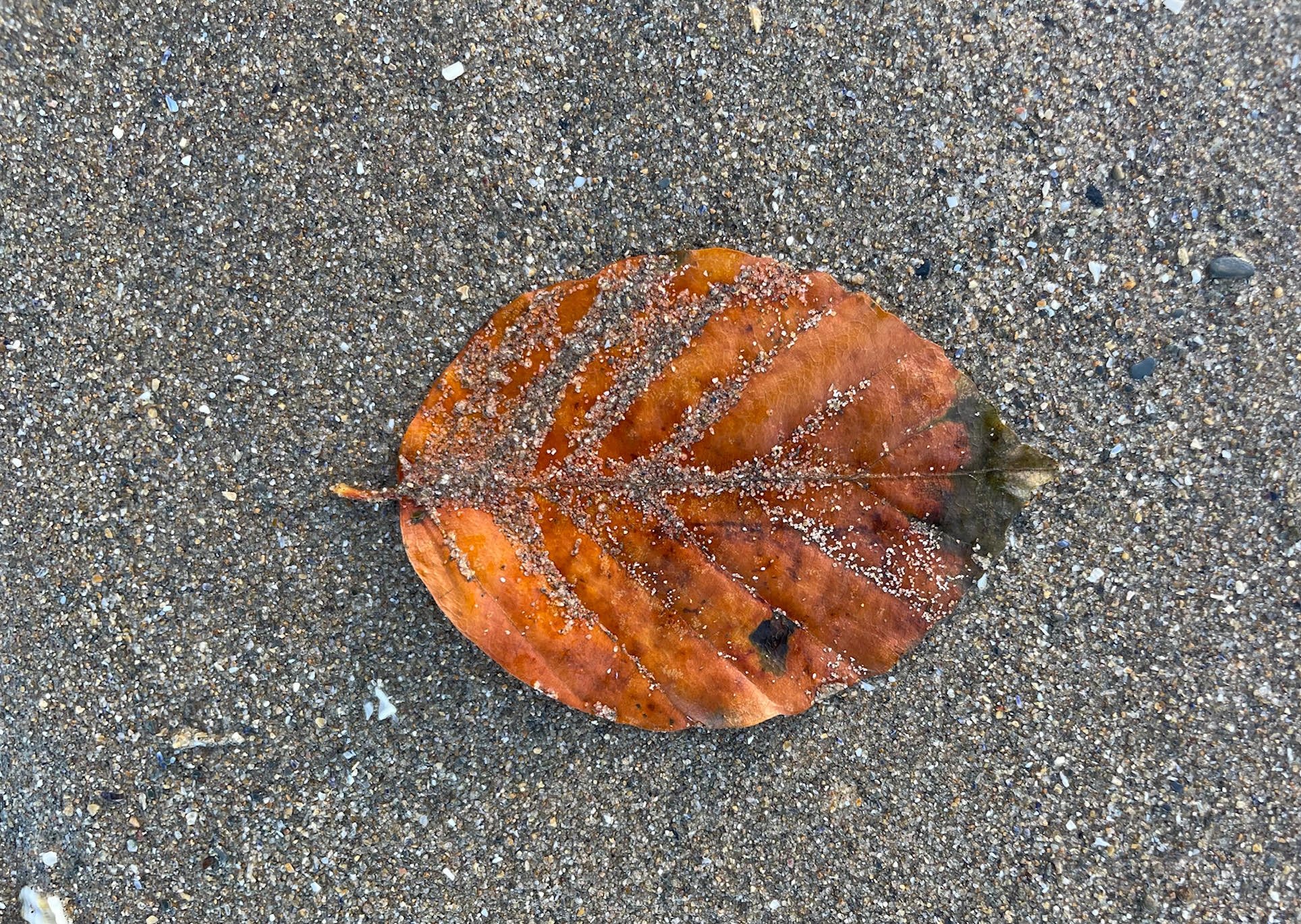 The Miracle Inn - in Wales