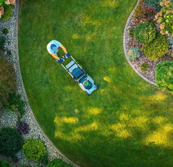 A person mowing a lush green lawn with a riding lawn mower in a landscaped yard with curved garden beds and various shrubs and plants.