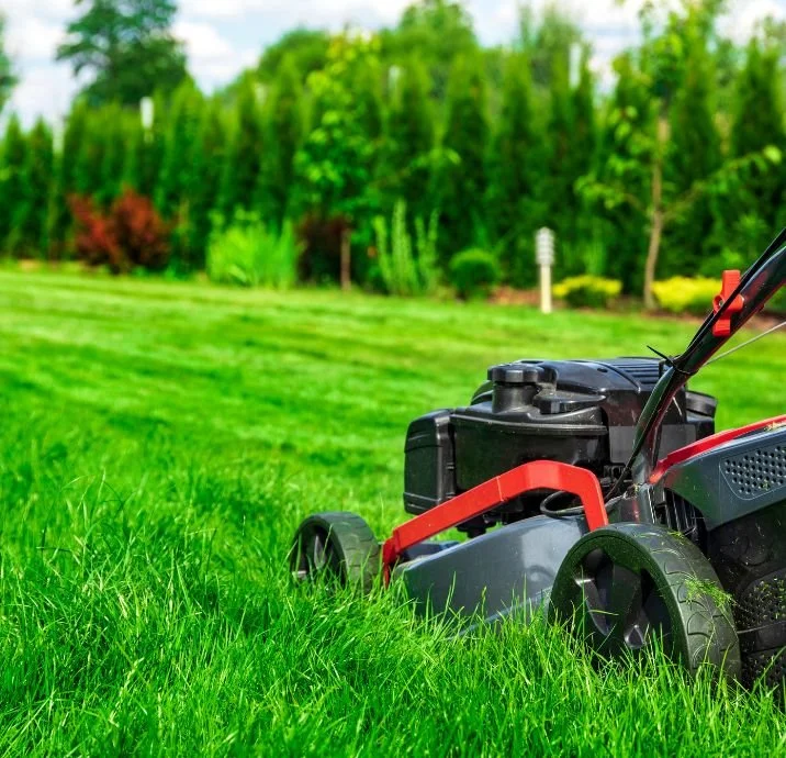 Lawn mower on freshly cut grass with a background of trees and bushes.
