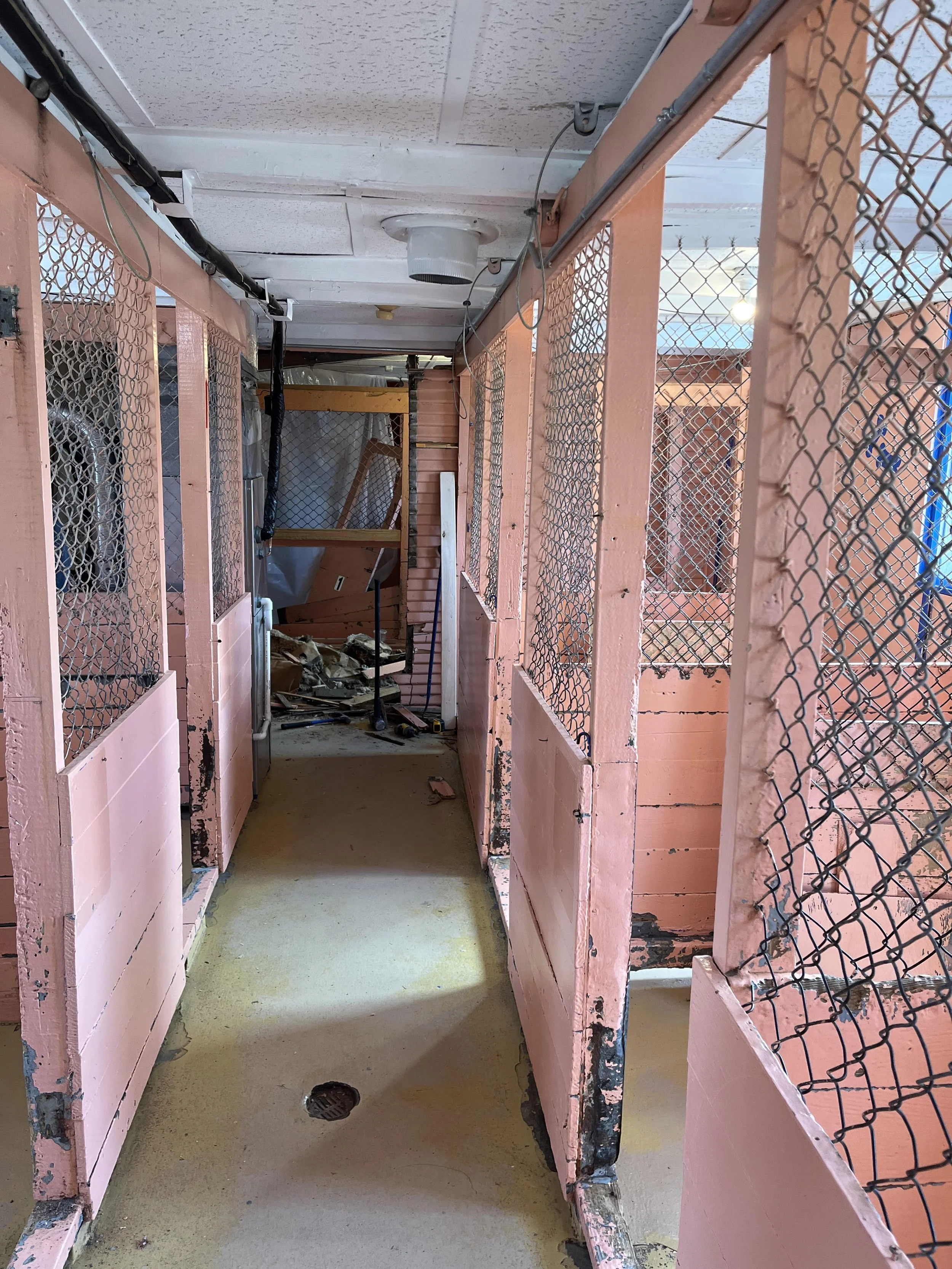 kennel before.jpg
