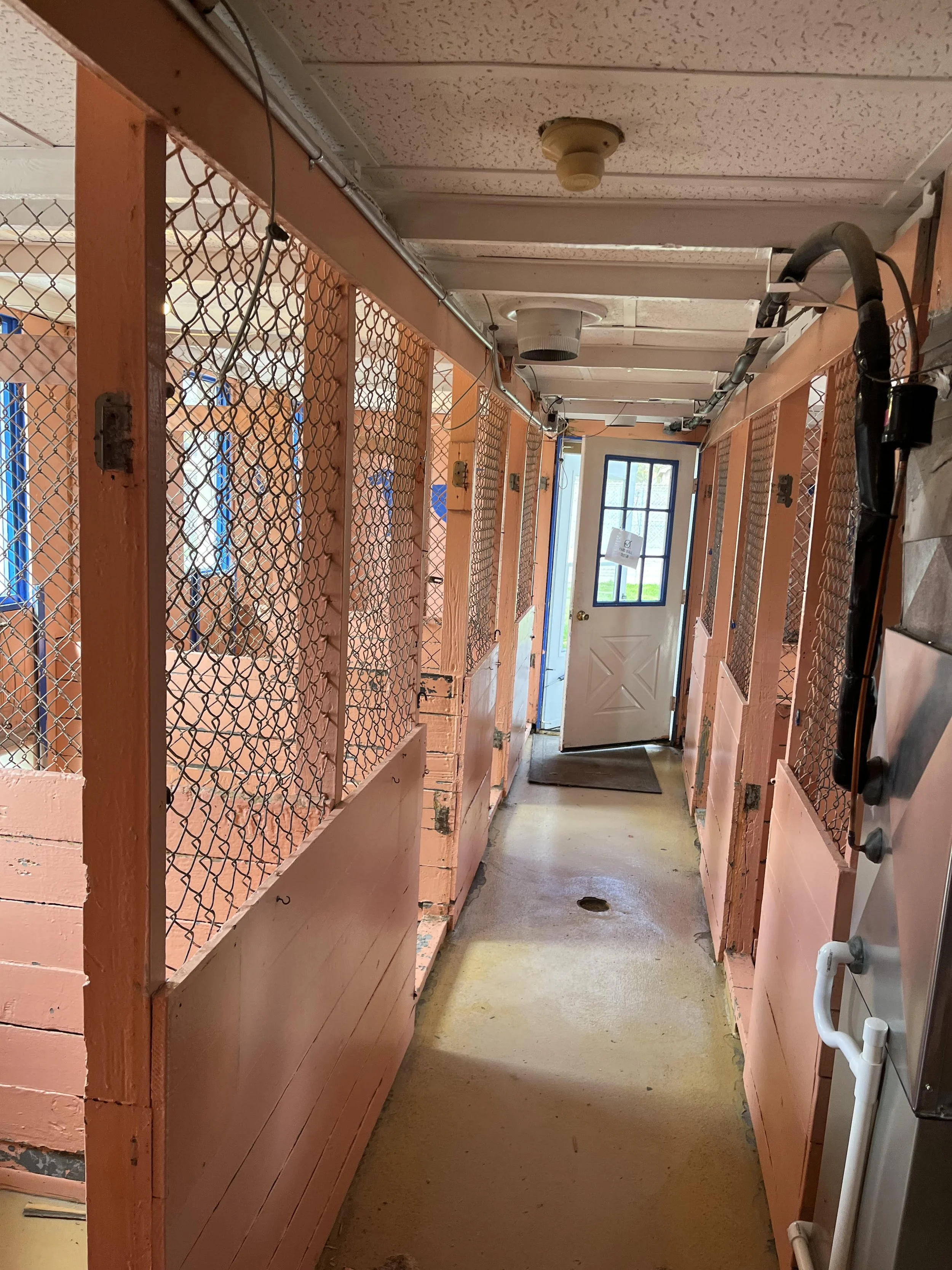 kennel before 2.jpg