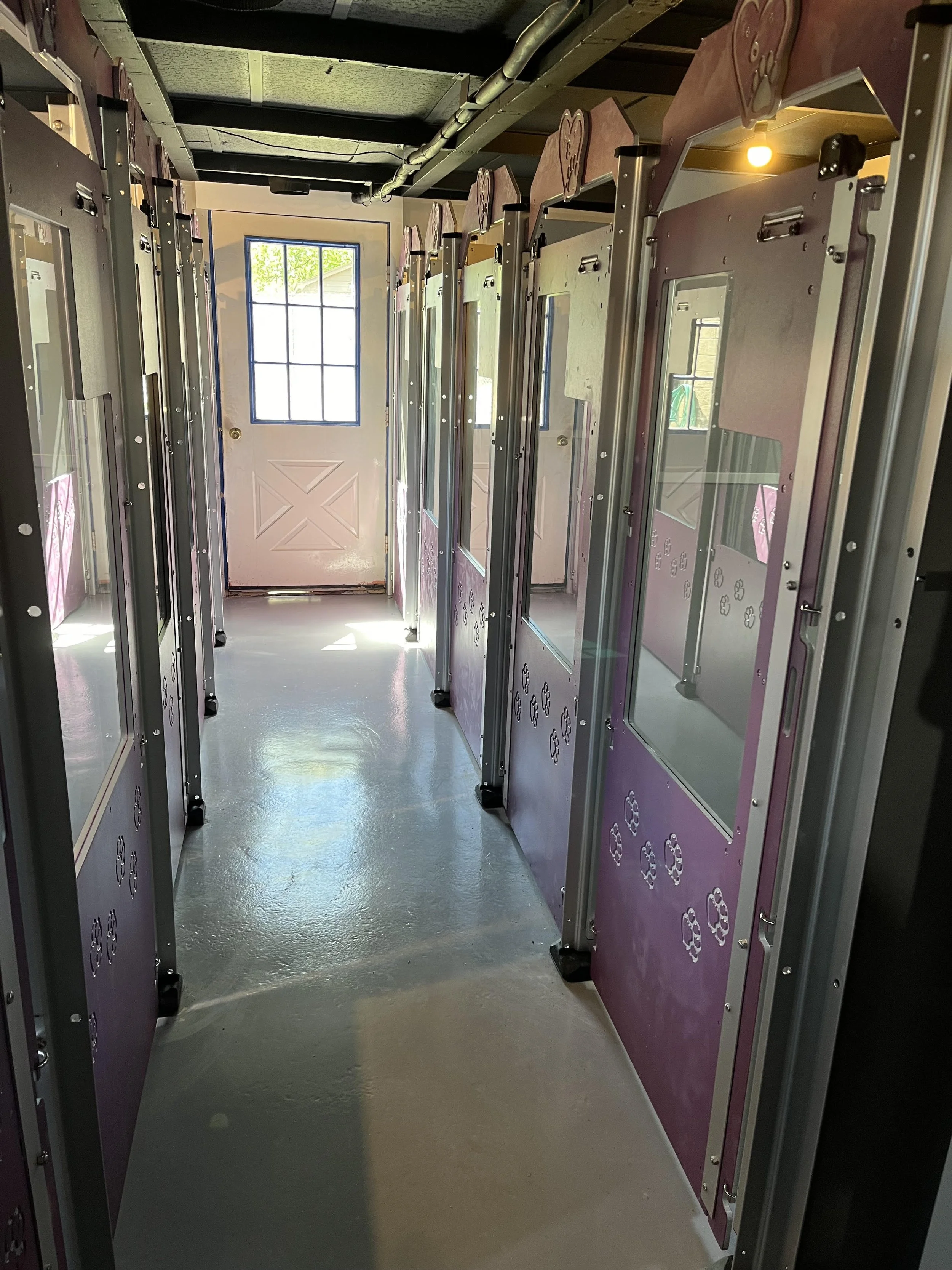 kennel after.jpg
