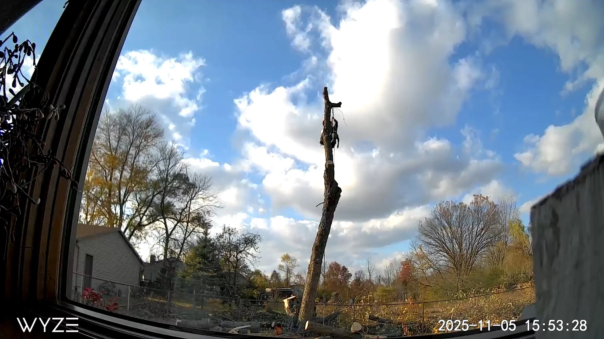 View through a window showing a fallen tree with broken branches, a backyard with trees, and a cloudy sky with patches of blue on a fall afternoon.