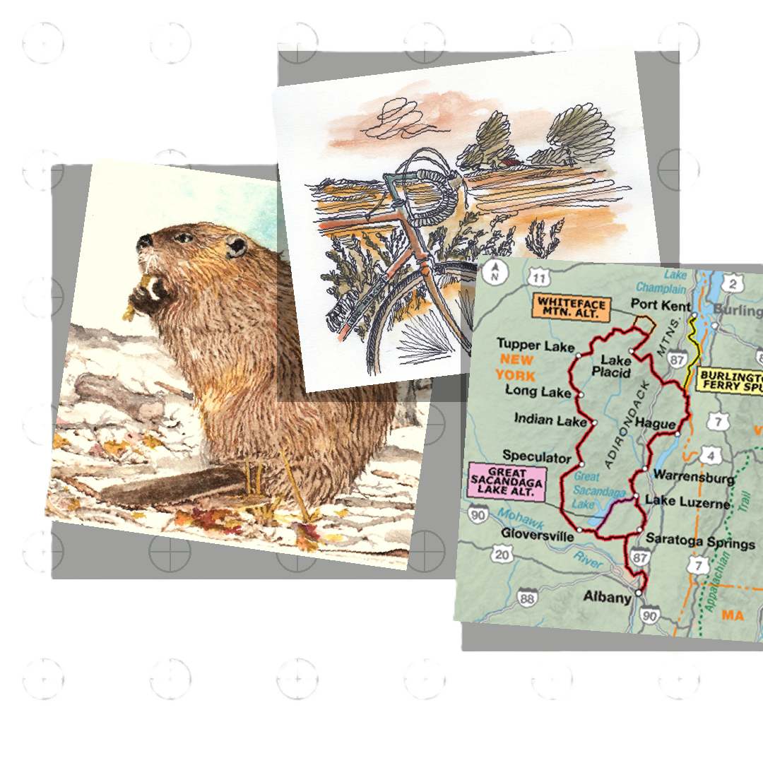 Adirondacks Cycling Trip: Beavers, Bikes, and Beers