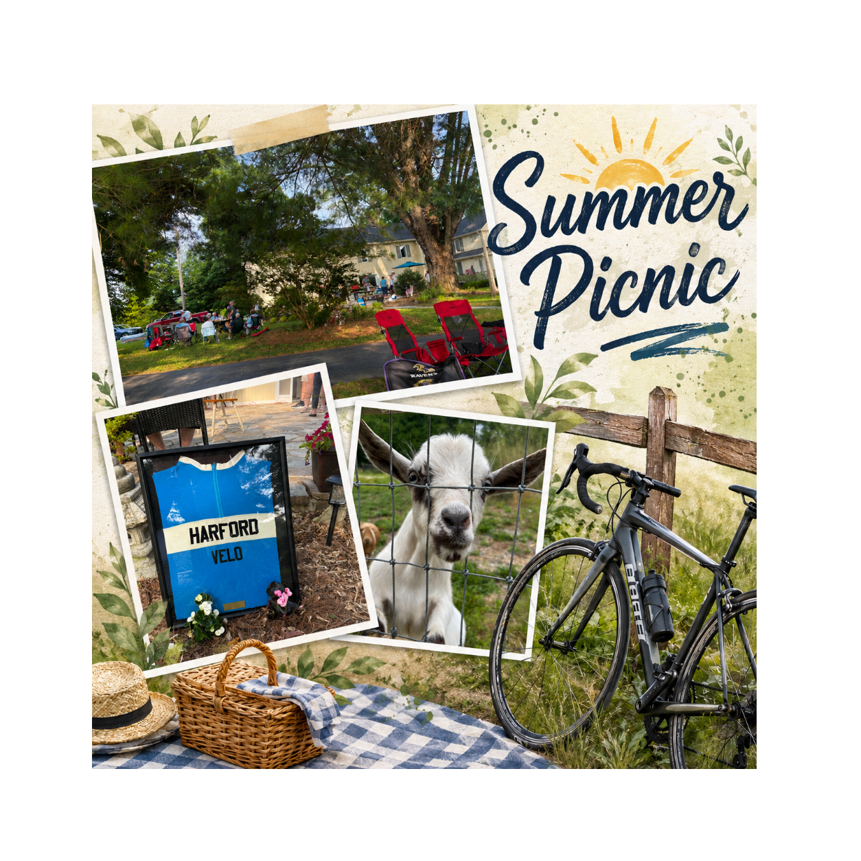 HVCC Summer Picnic