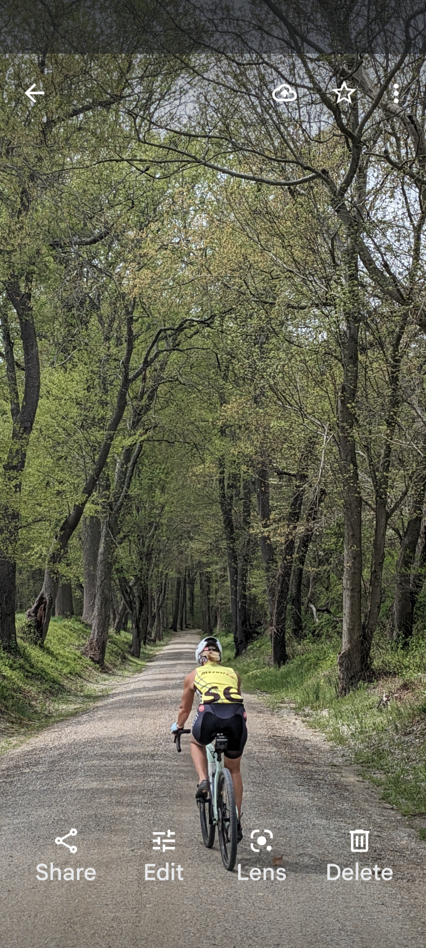 A cyclist riding on a gravel forest trail surrounded by tall trees with green leaves.