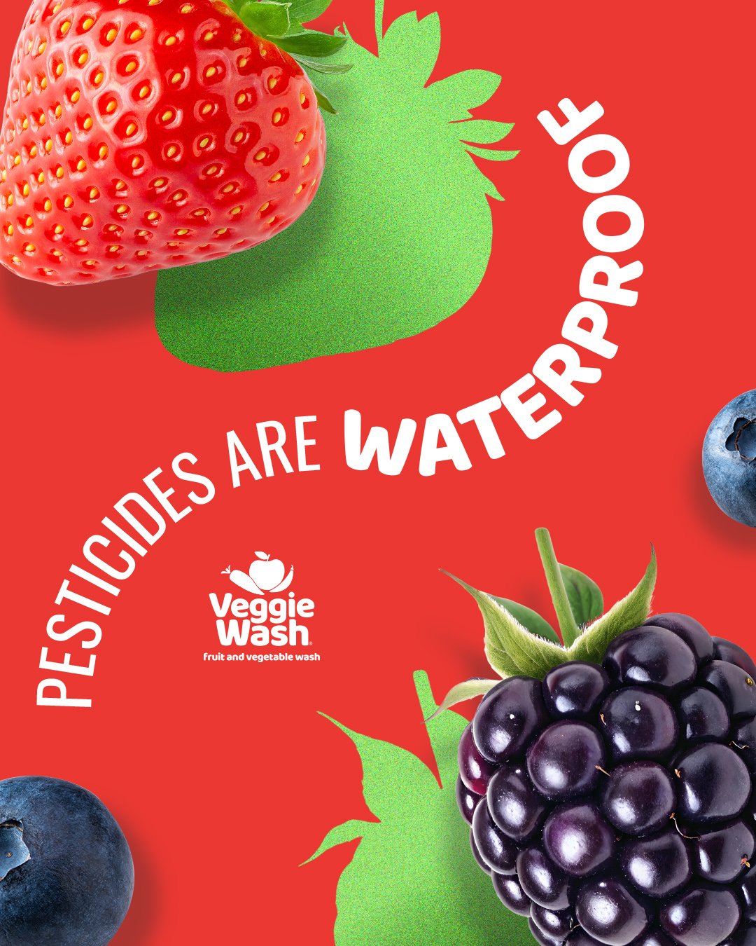 Veggie Wash Aug Socials