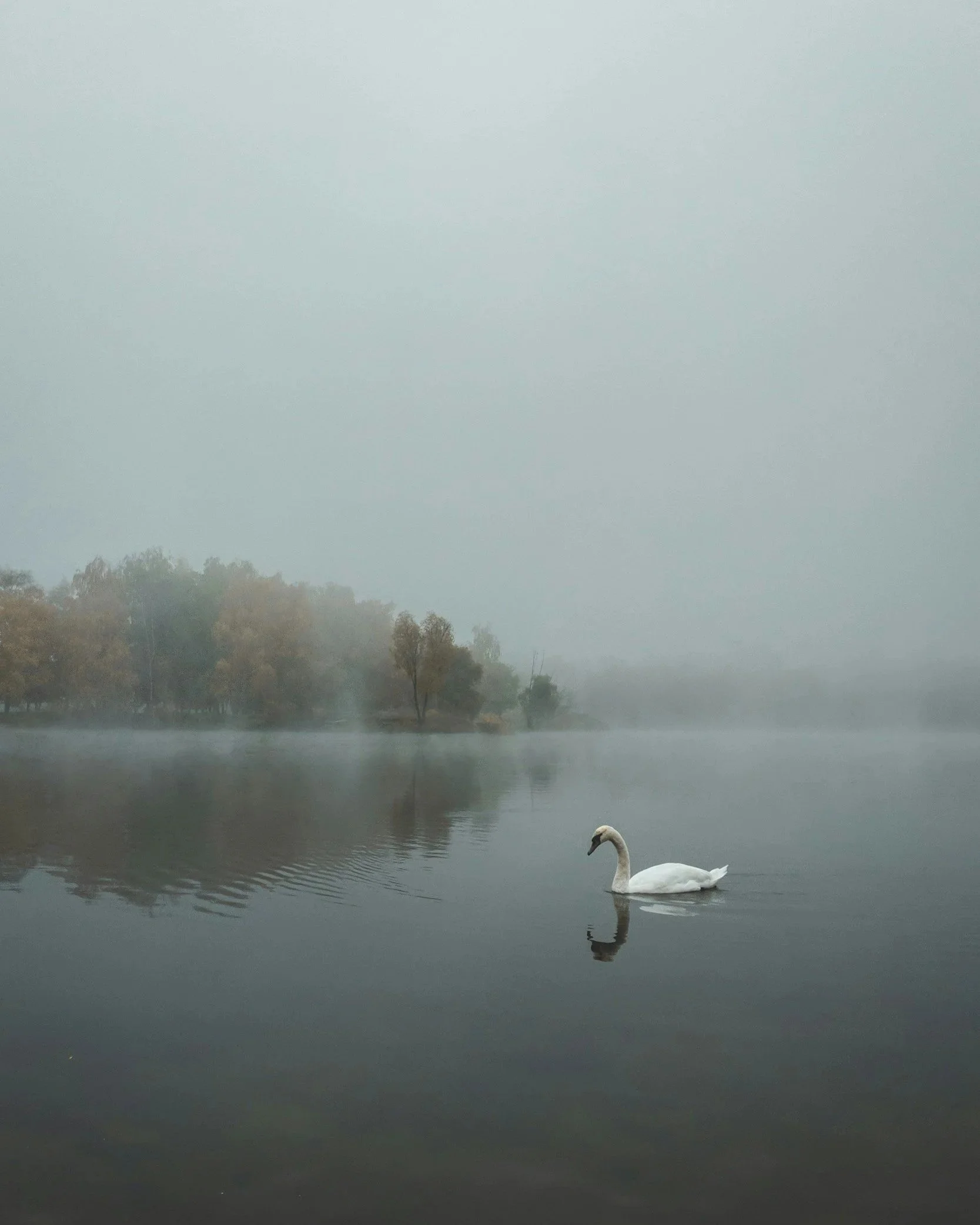 Grief Isn't Linear: What It Can Feel Like and What to Expect in Therapy