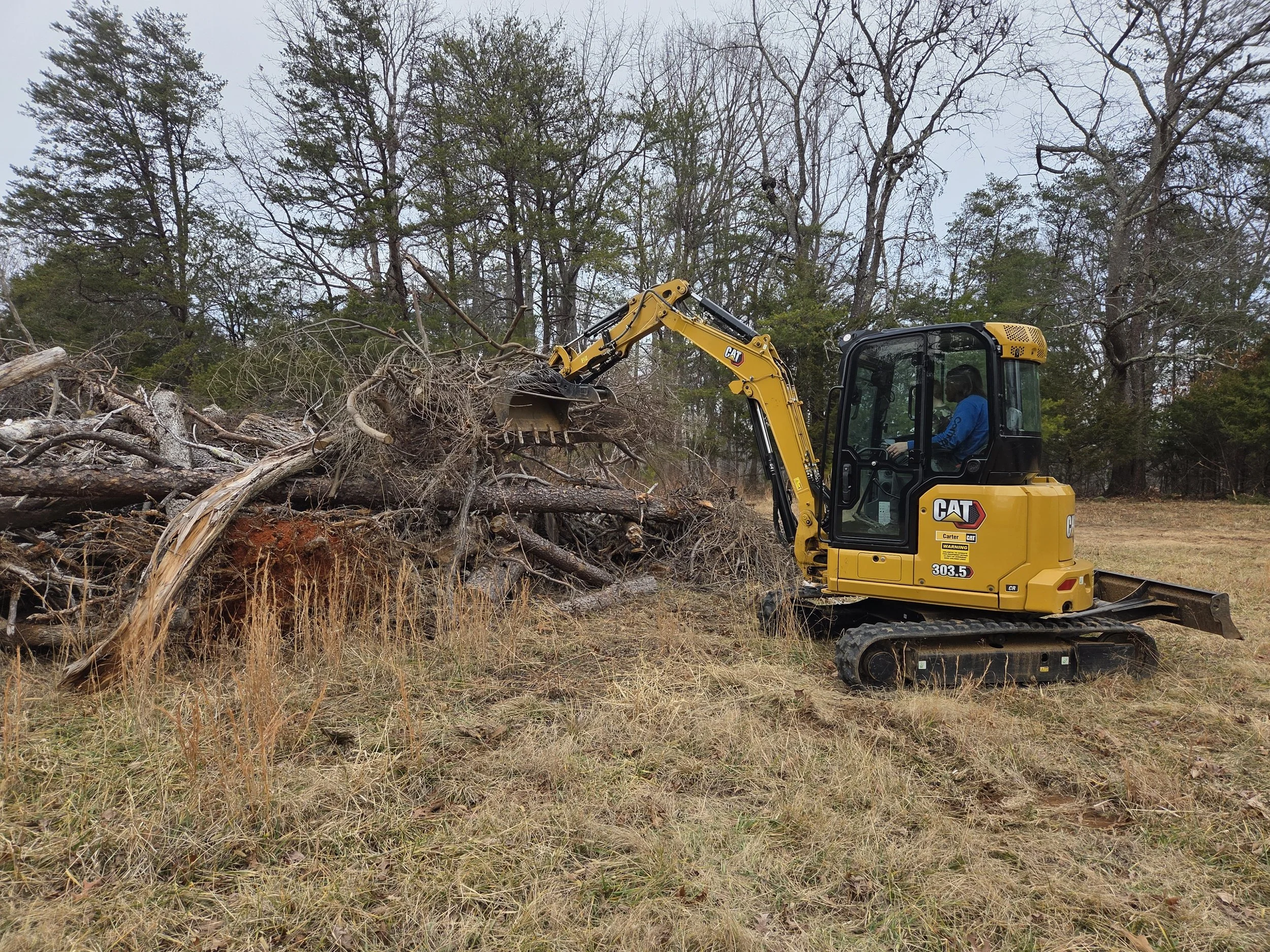 A small yellow CAT excavator with tracks is lifting and moving fallen tree branches and logs in a grassy clearing with leafless trees in the background.