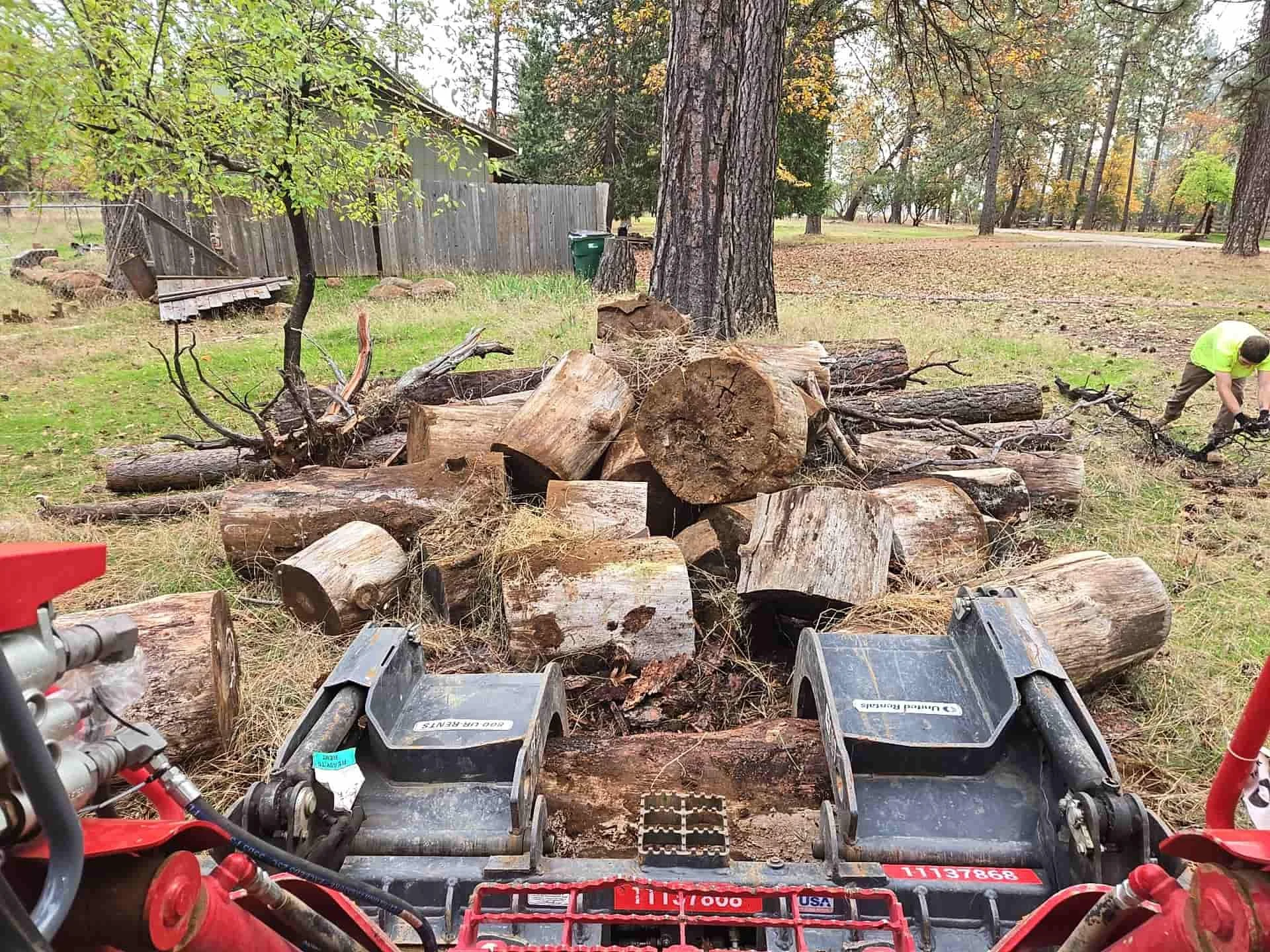 skid steer getting rid of logs