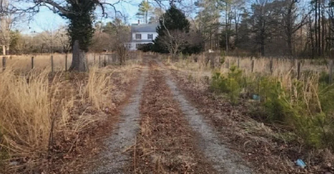 Tall grass, weeds and trees taking over a driveway