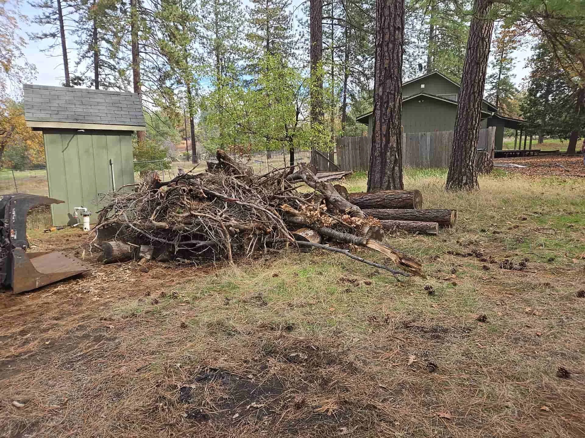 Skid steer removing fallen trees, brush and branches