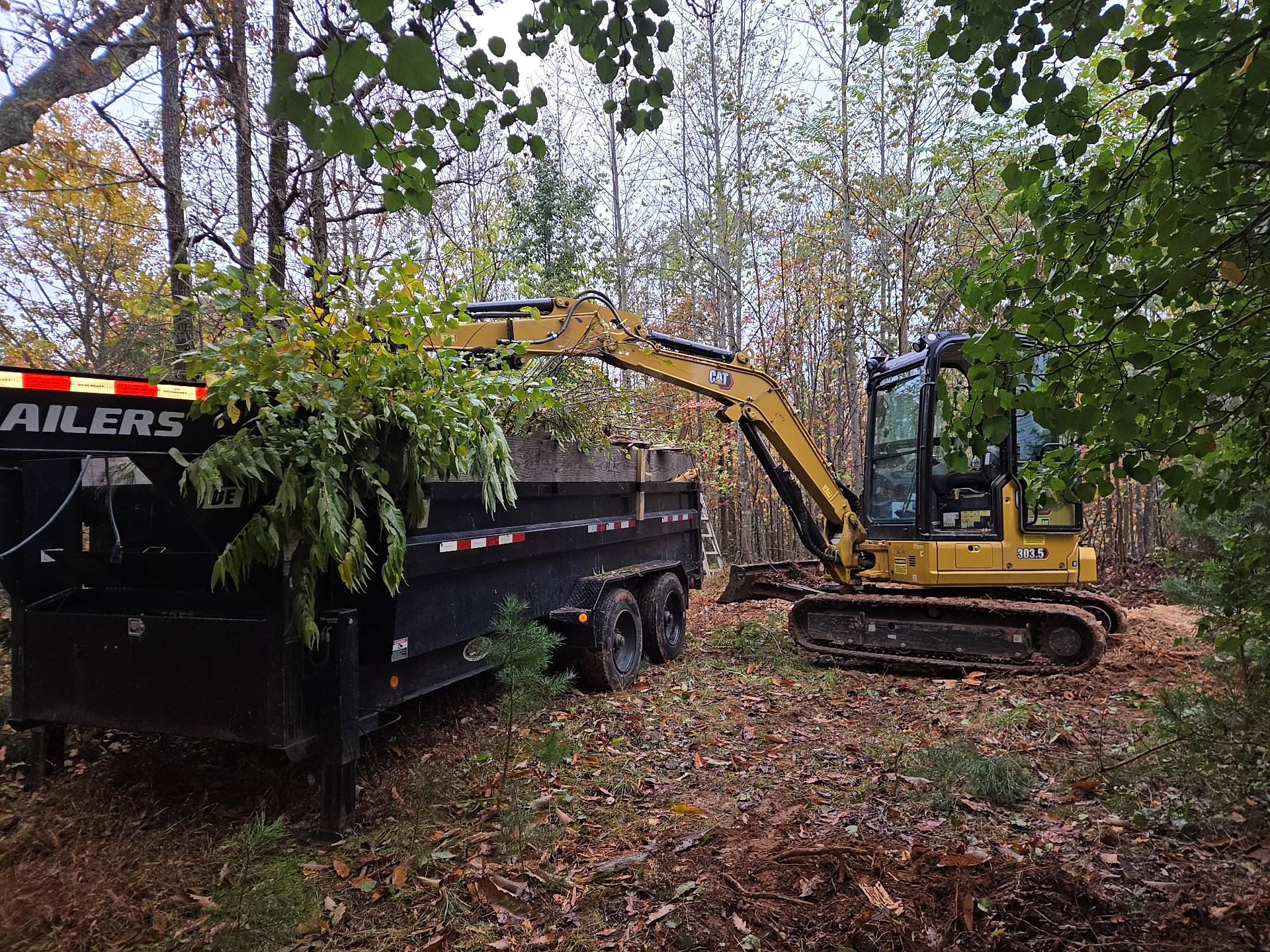 A yellow compact excavator loading branches and green foliage into a black trailer in a wooded area during fall.
