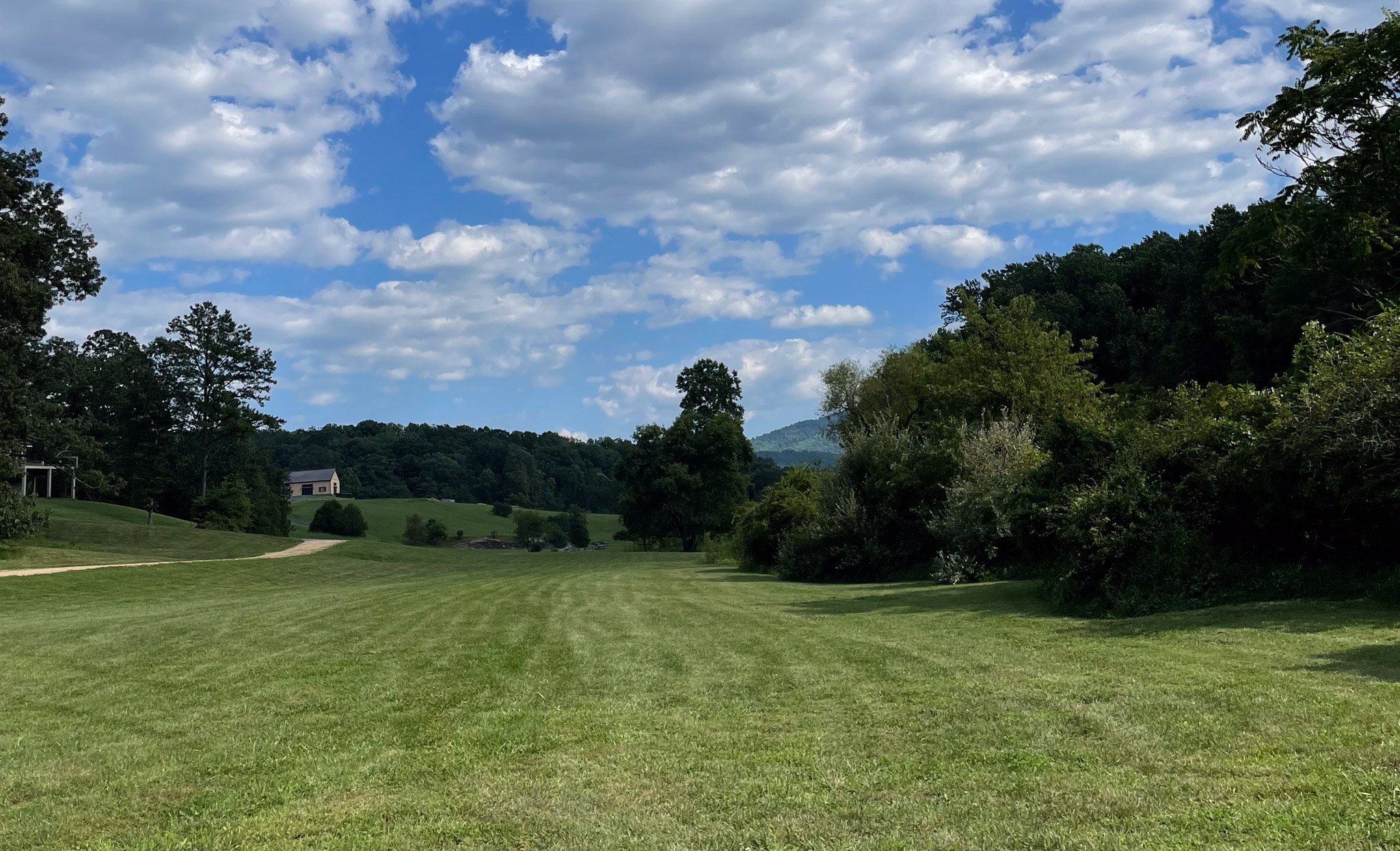 Mowing and landscaping grass