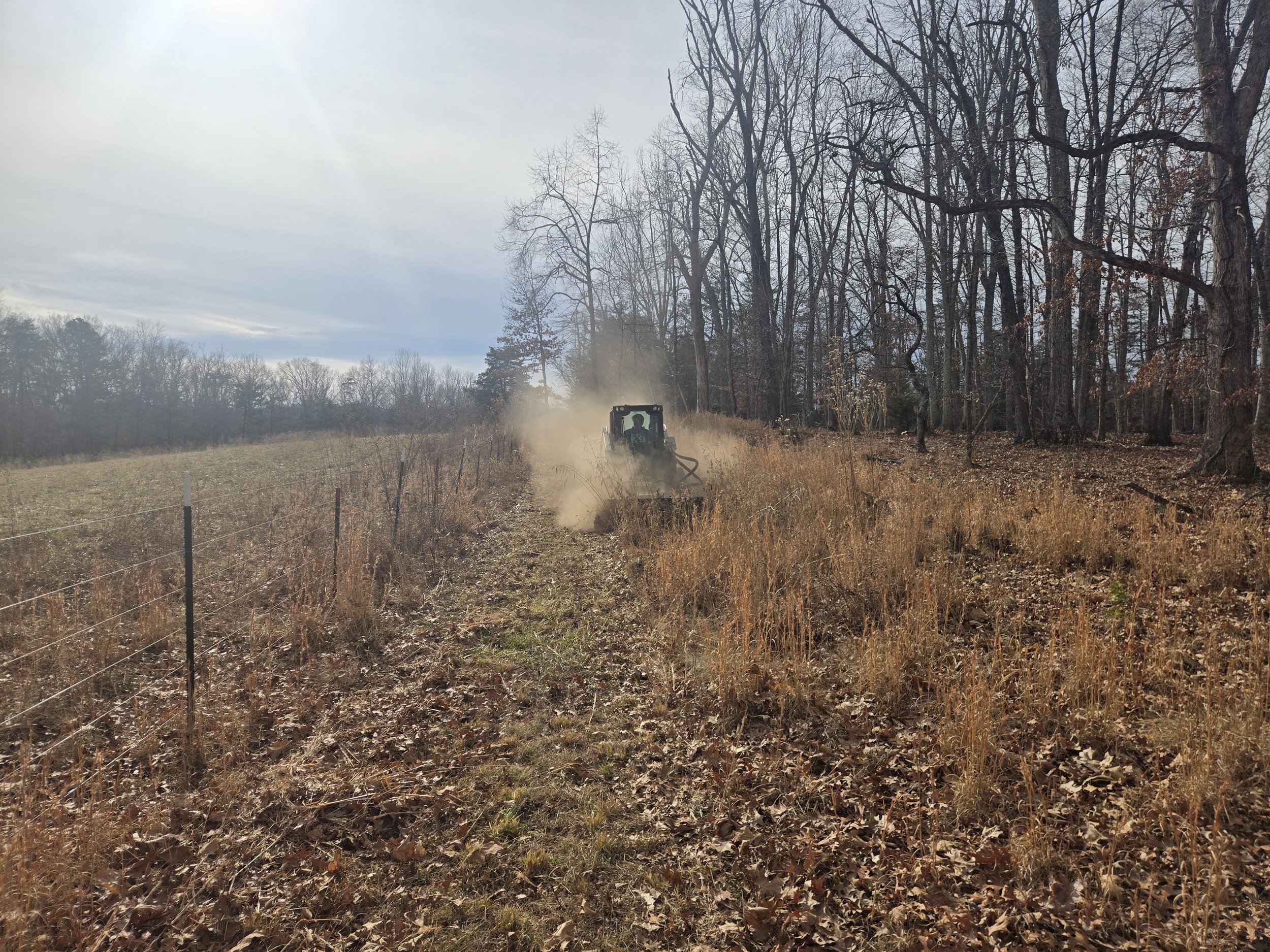 Skid steer brush cutting thick grass