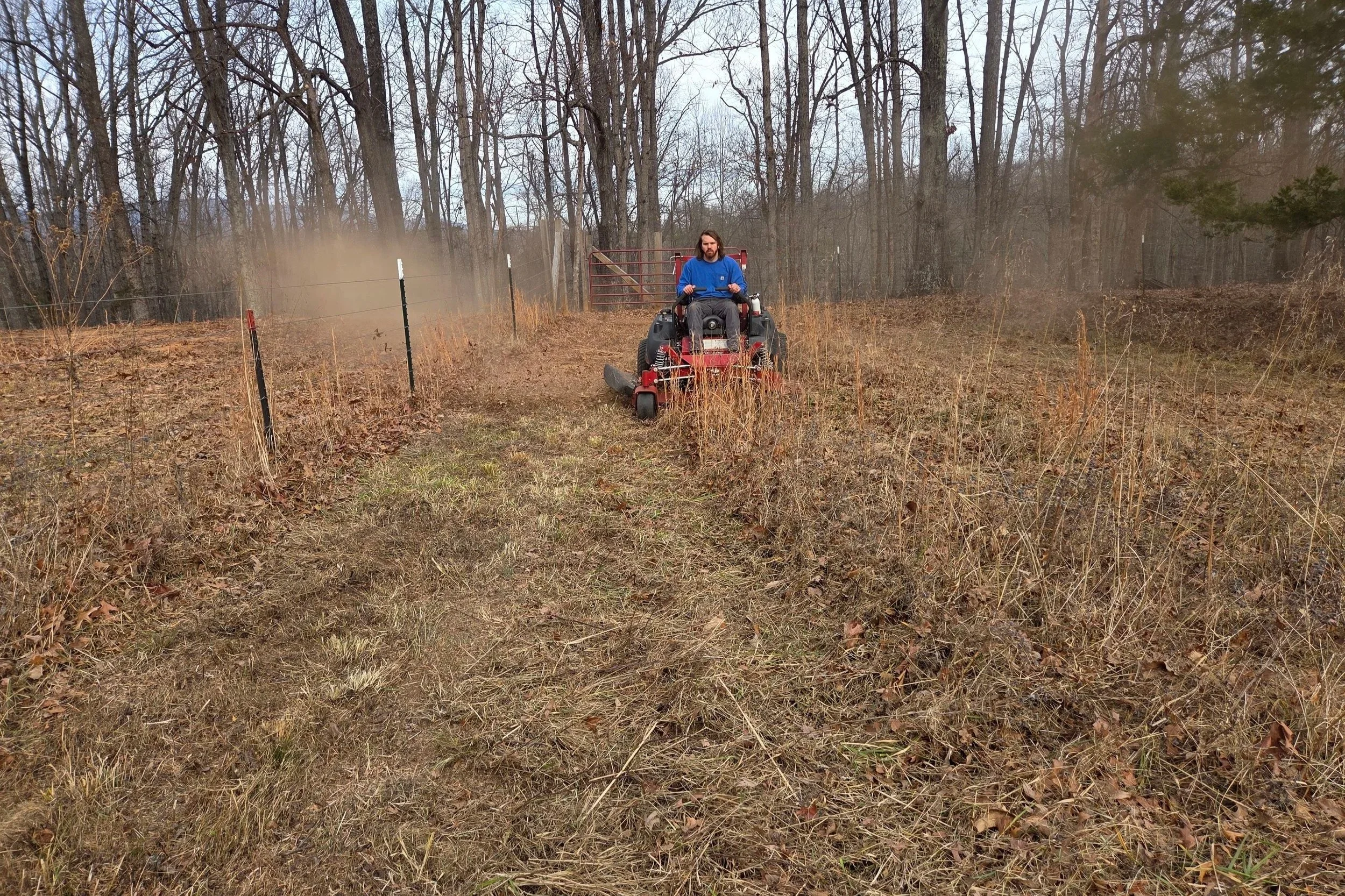A person riding a red mower through a grassy, cleared area surrounded by leafless trees during fall or winter, with a metal gate in the background.