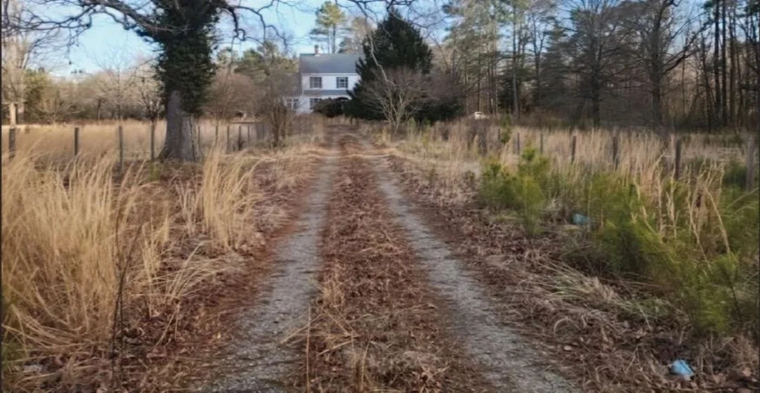 Before heavy initial landscaping