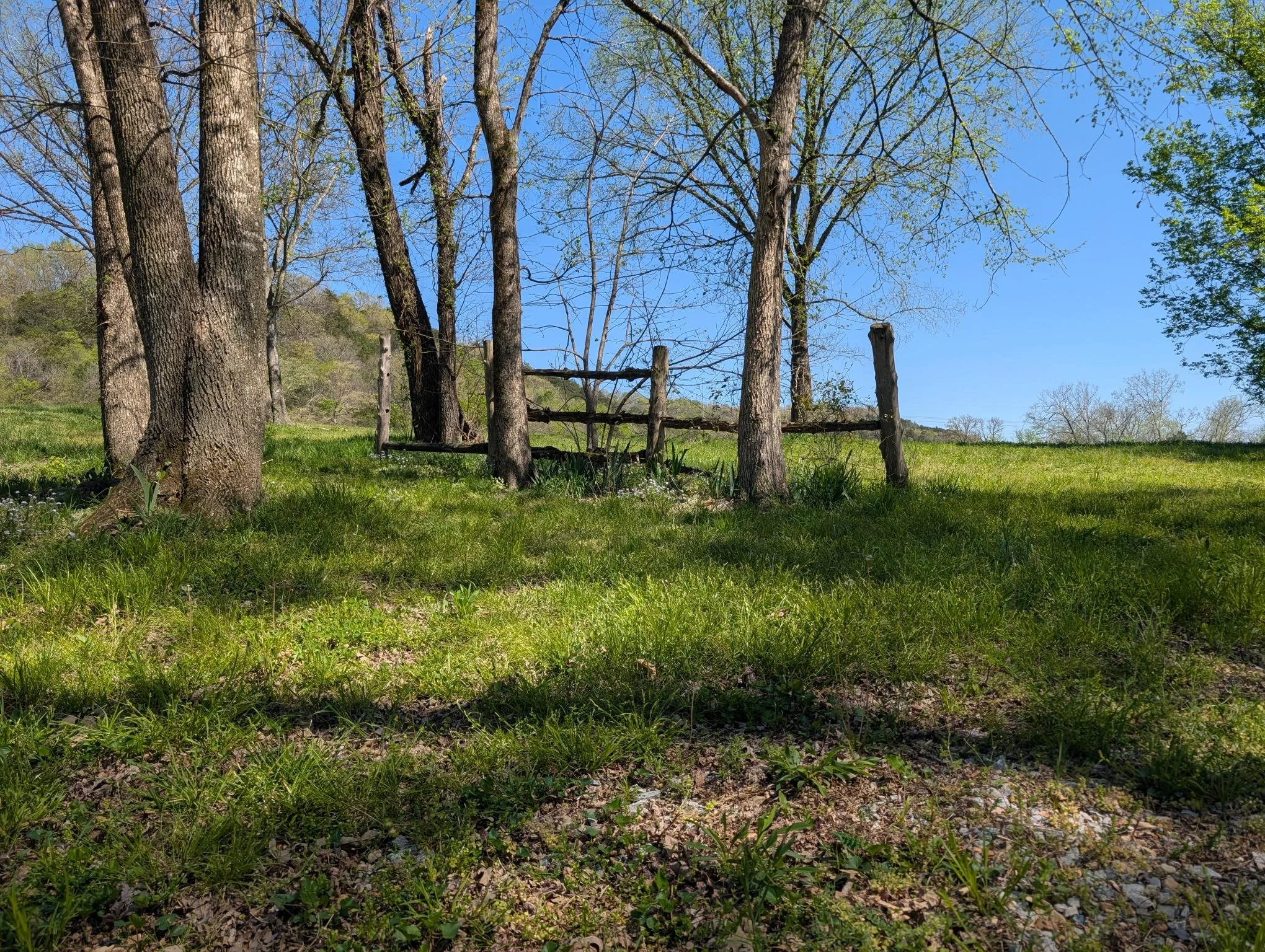 Antique Fence in Field with Wildflowers.jpg
