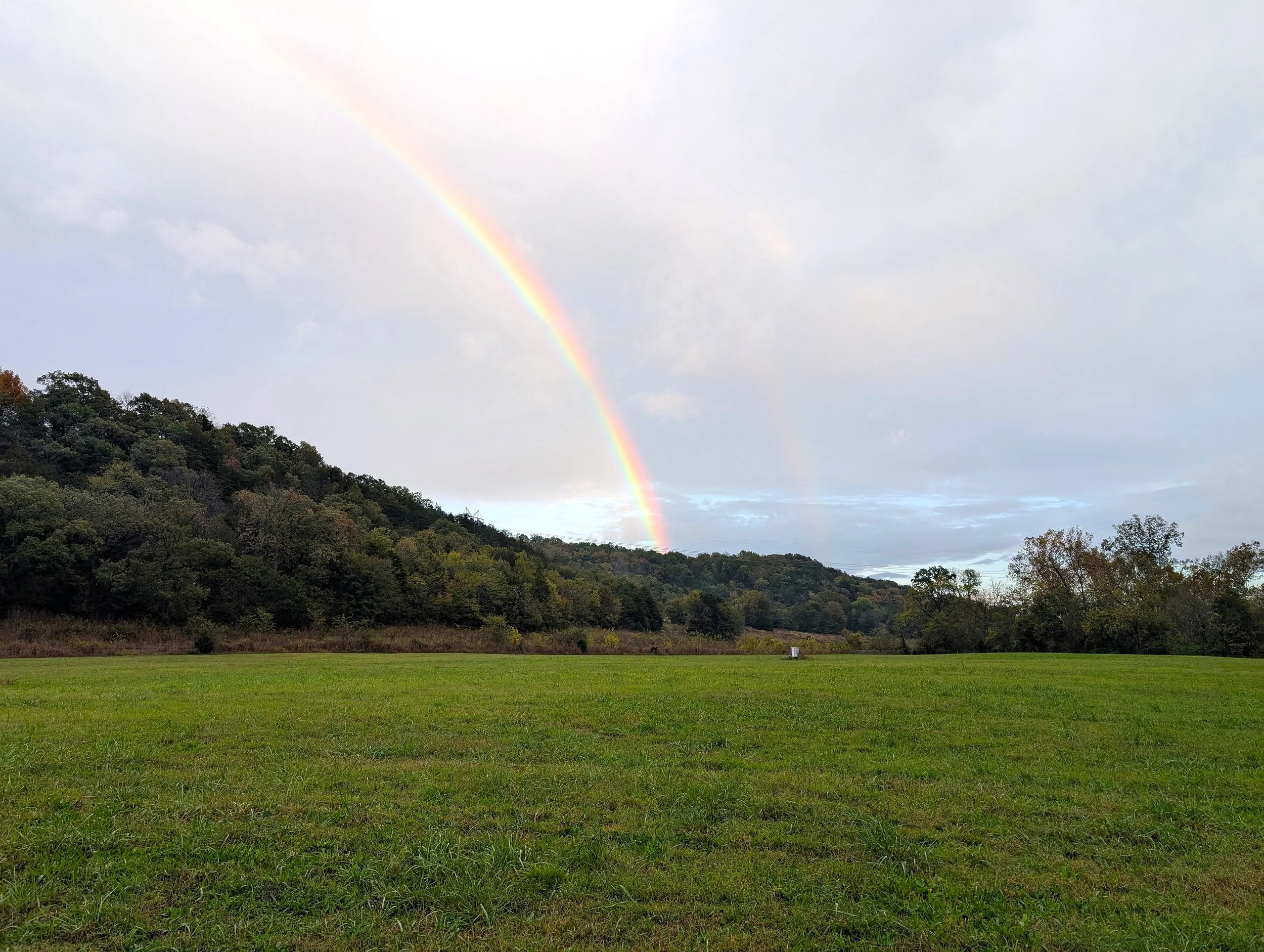 Rainbow over beehive