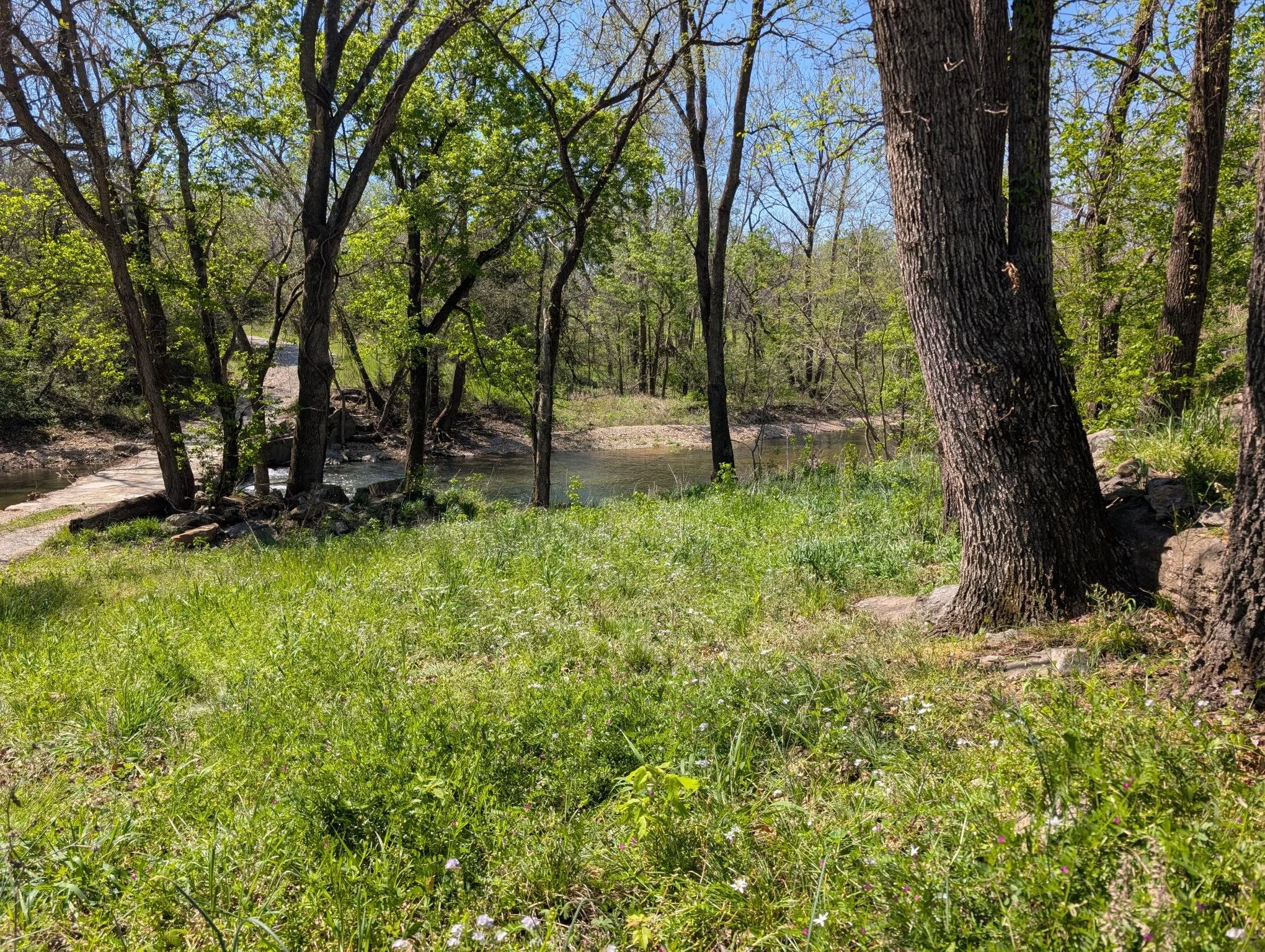 Creek and Bridge with Wildflowers.jpg