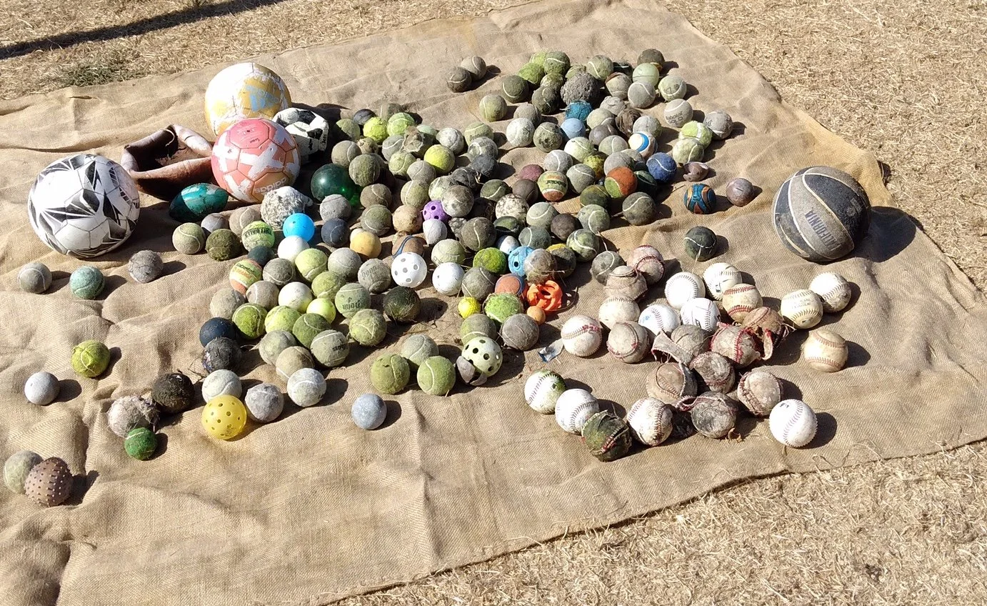 Coastal Clean Up