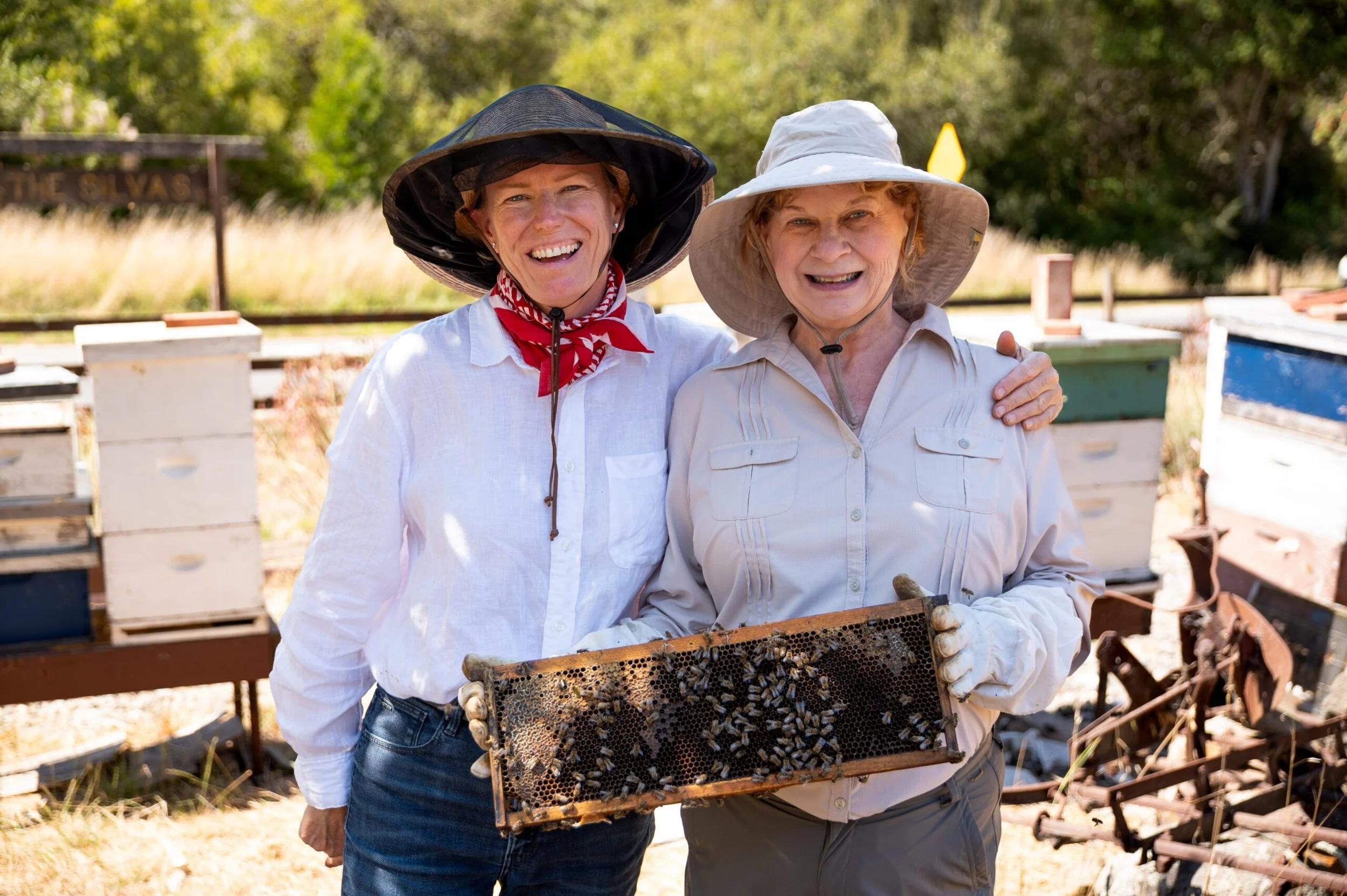 THURSDAY, April 30, 2026 Speaker Series: Bees of Marin