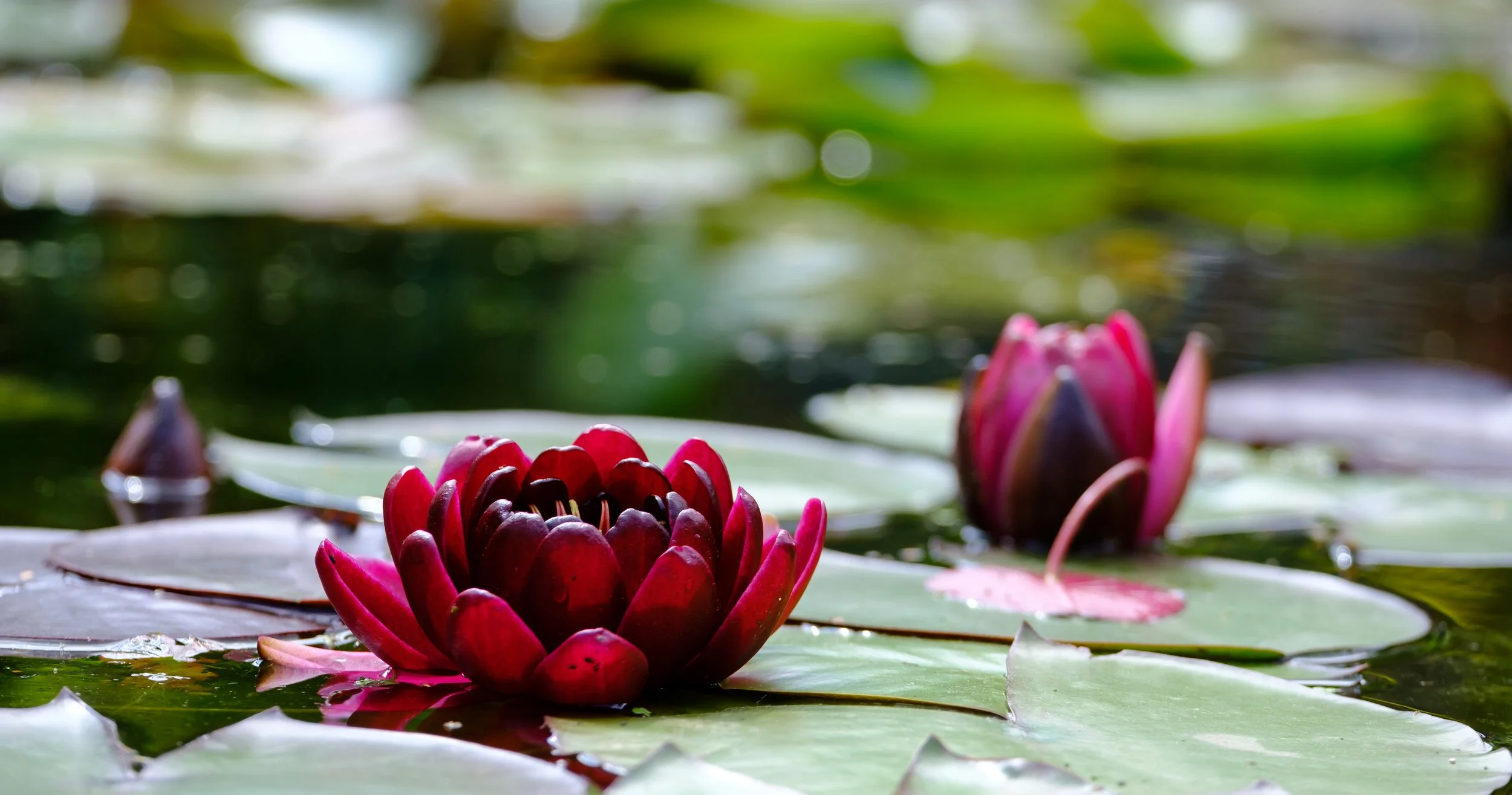 What to expect from your first relationship coaching session