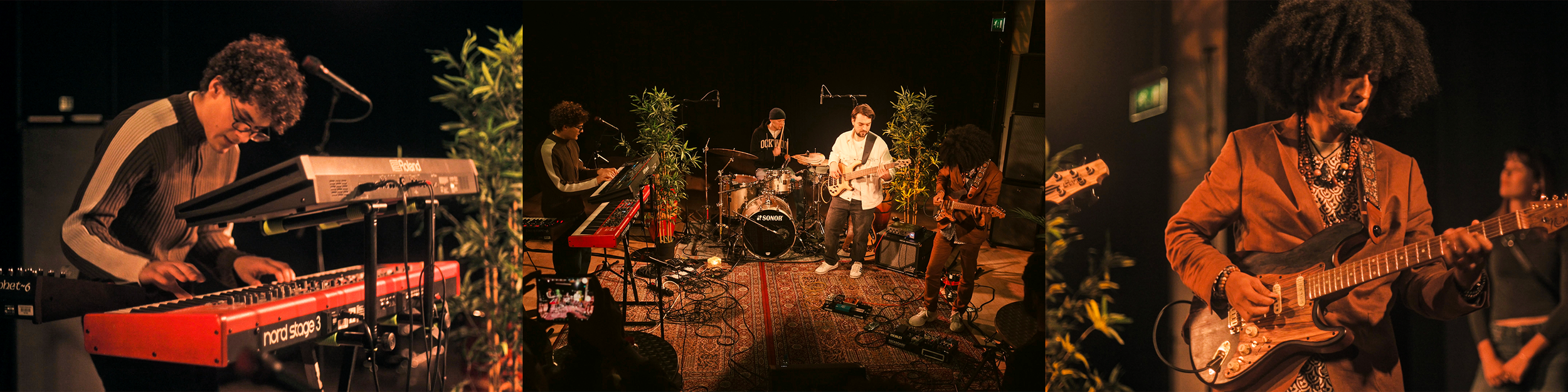A live band performing on stage with keyboard, drums, guitar, and electronics, decorated with plants.