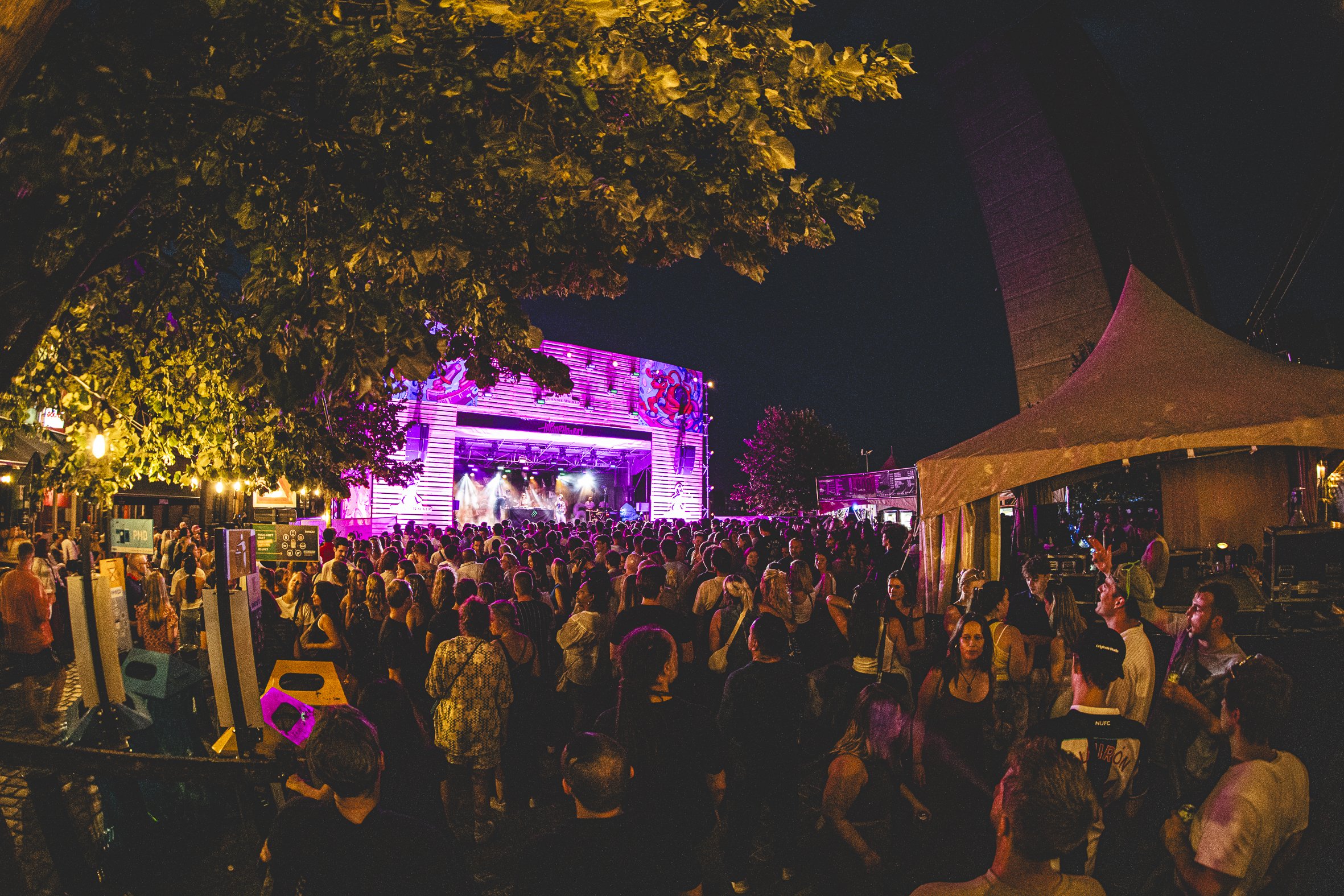 Beestig festival - BDKMV - JVB Photography - LR -107.jpg