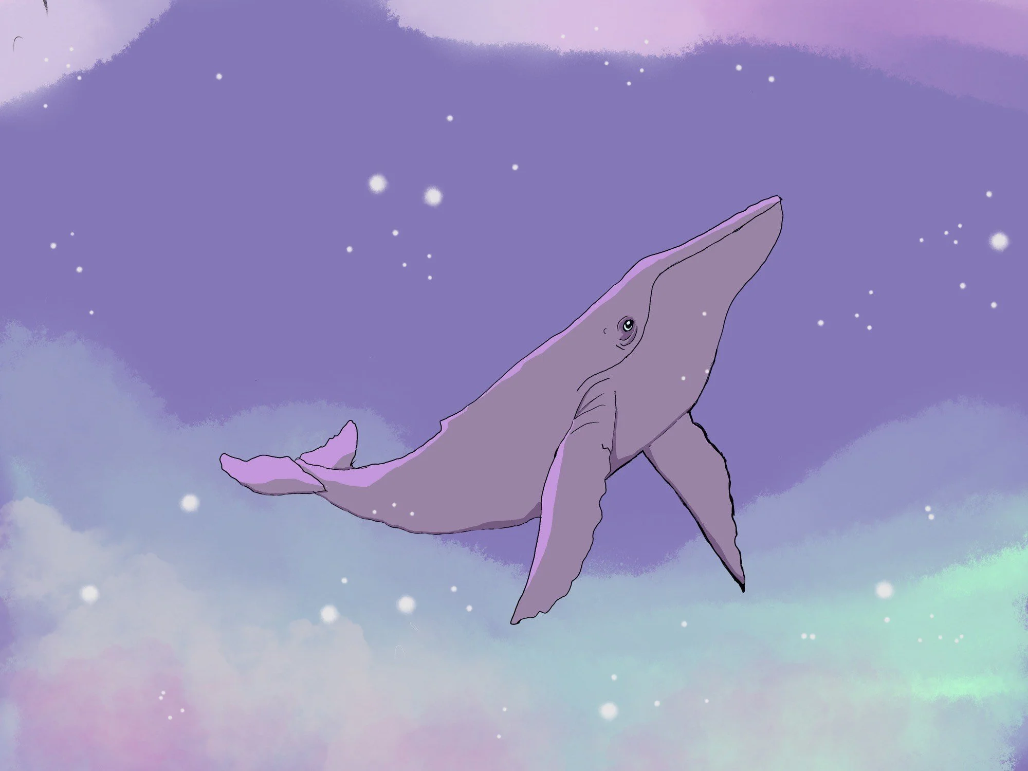 whale illustration.jpeg