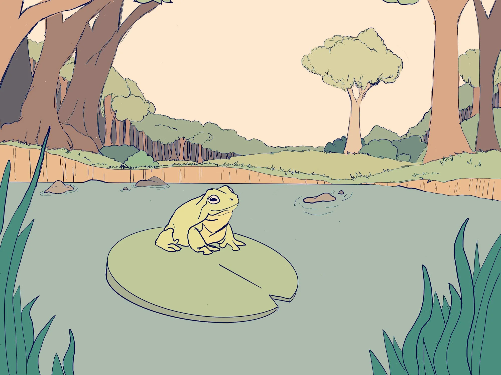 frog illustration.jpeg