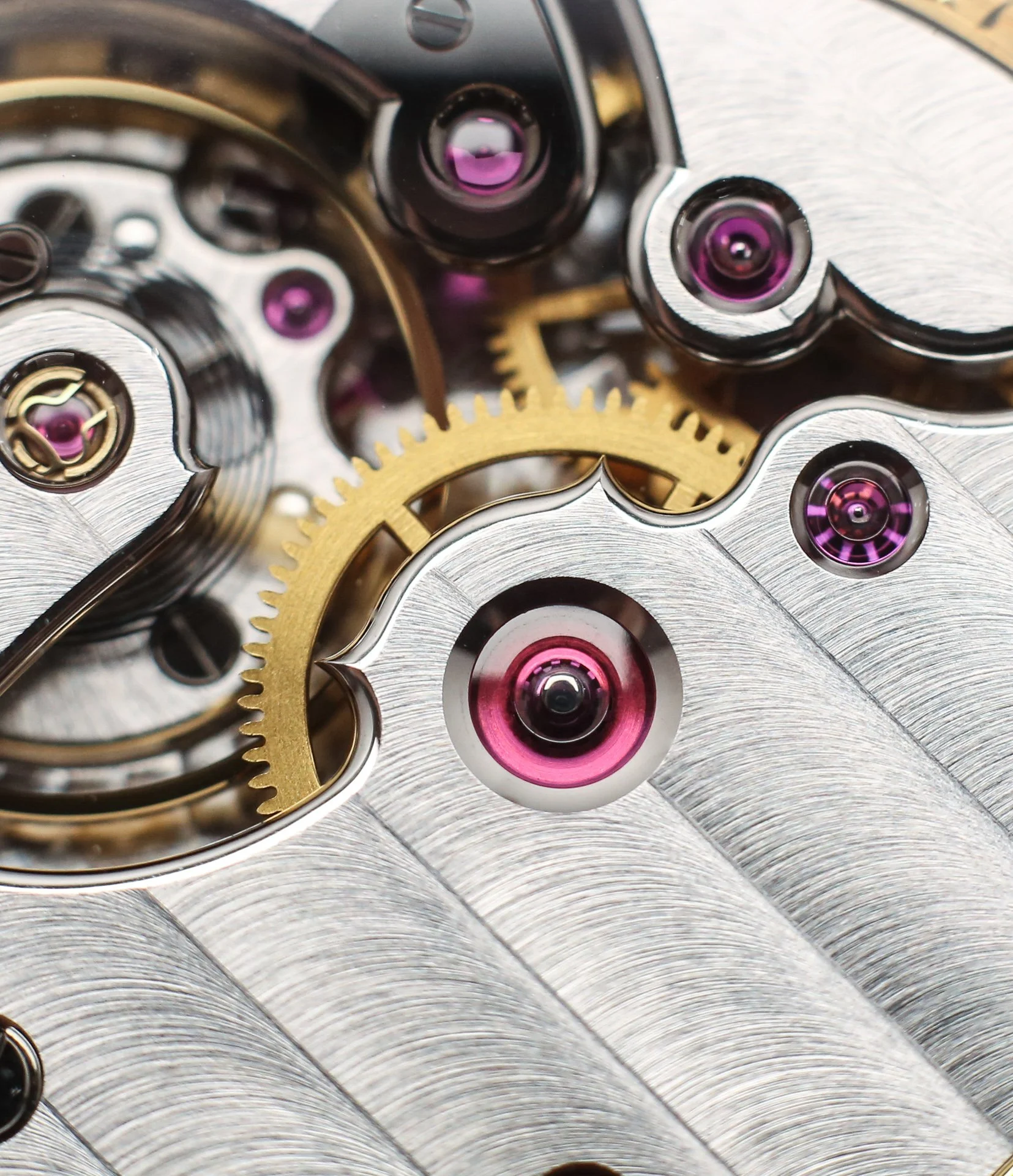 themakropeople-macro-product-london (21).jpg