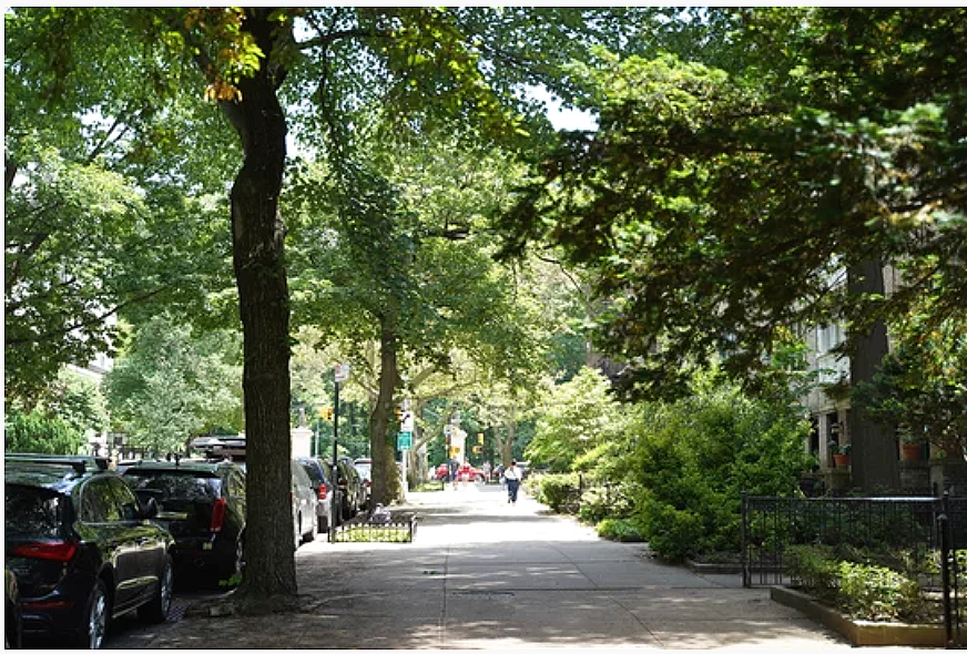 A tree-lined city sidewalk with parked cars on the left and greenery on the right, with a few pedestrians walking in the distance.