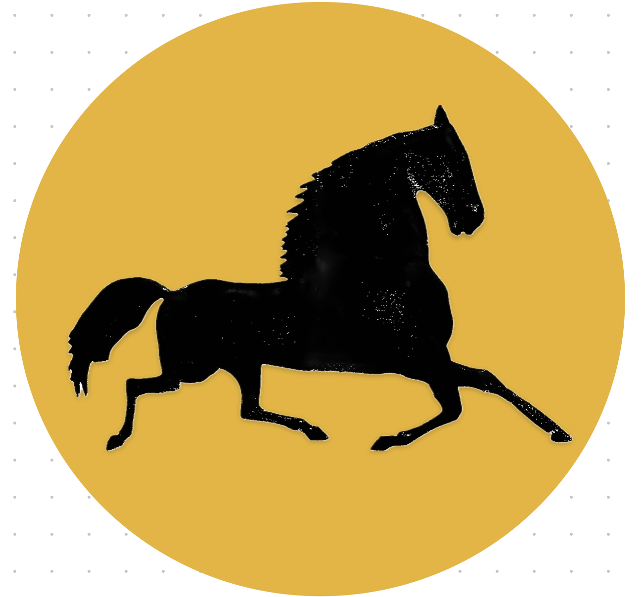 Falling Off the Horse: Overcoming Bad Leadership Habits