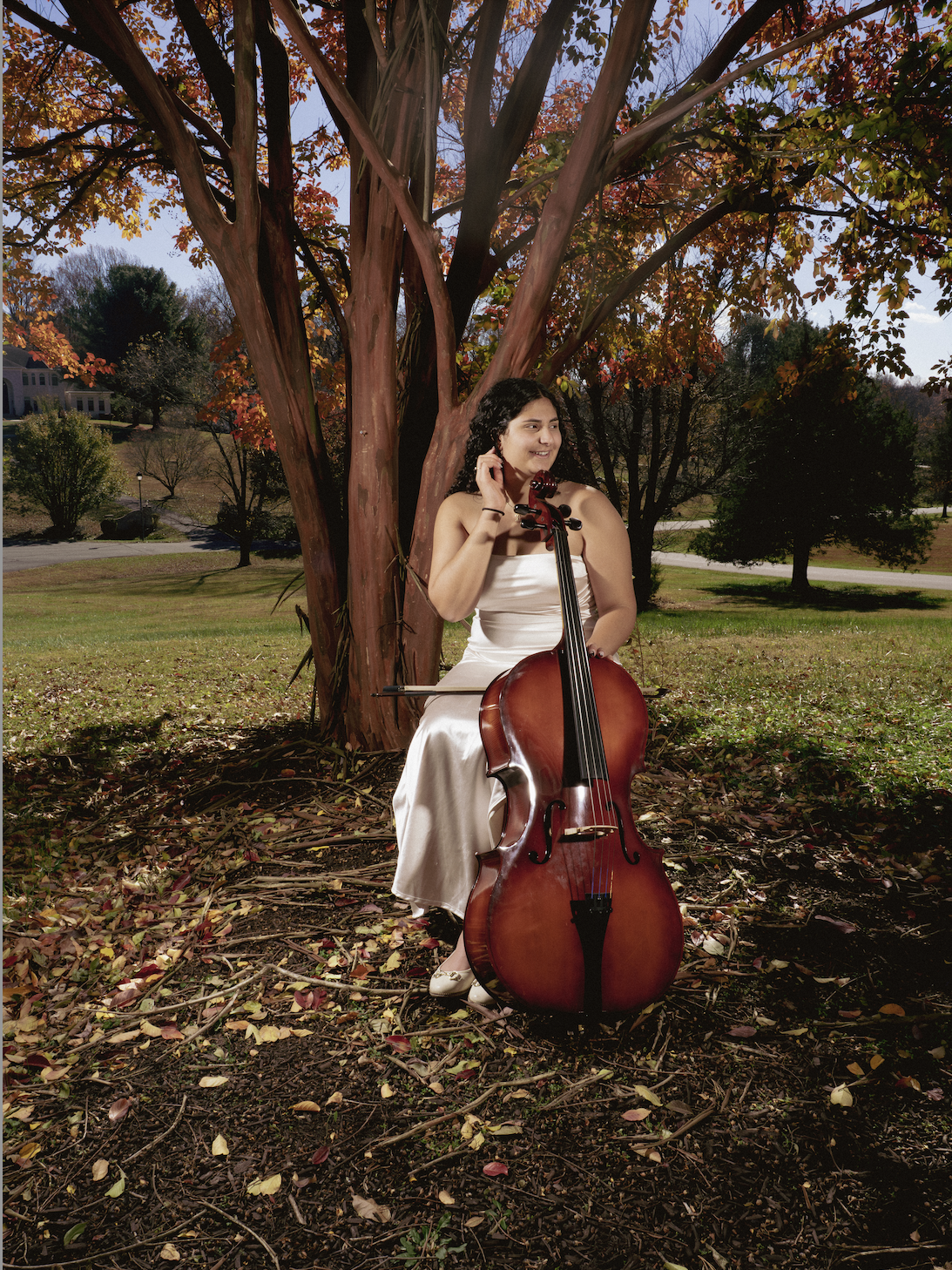 Screenshot 2026-02-10 at 11.41.04.png