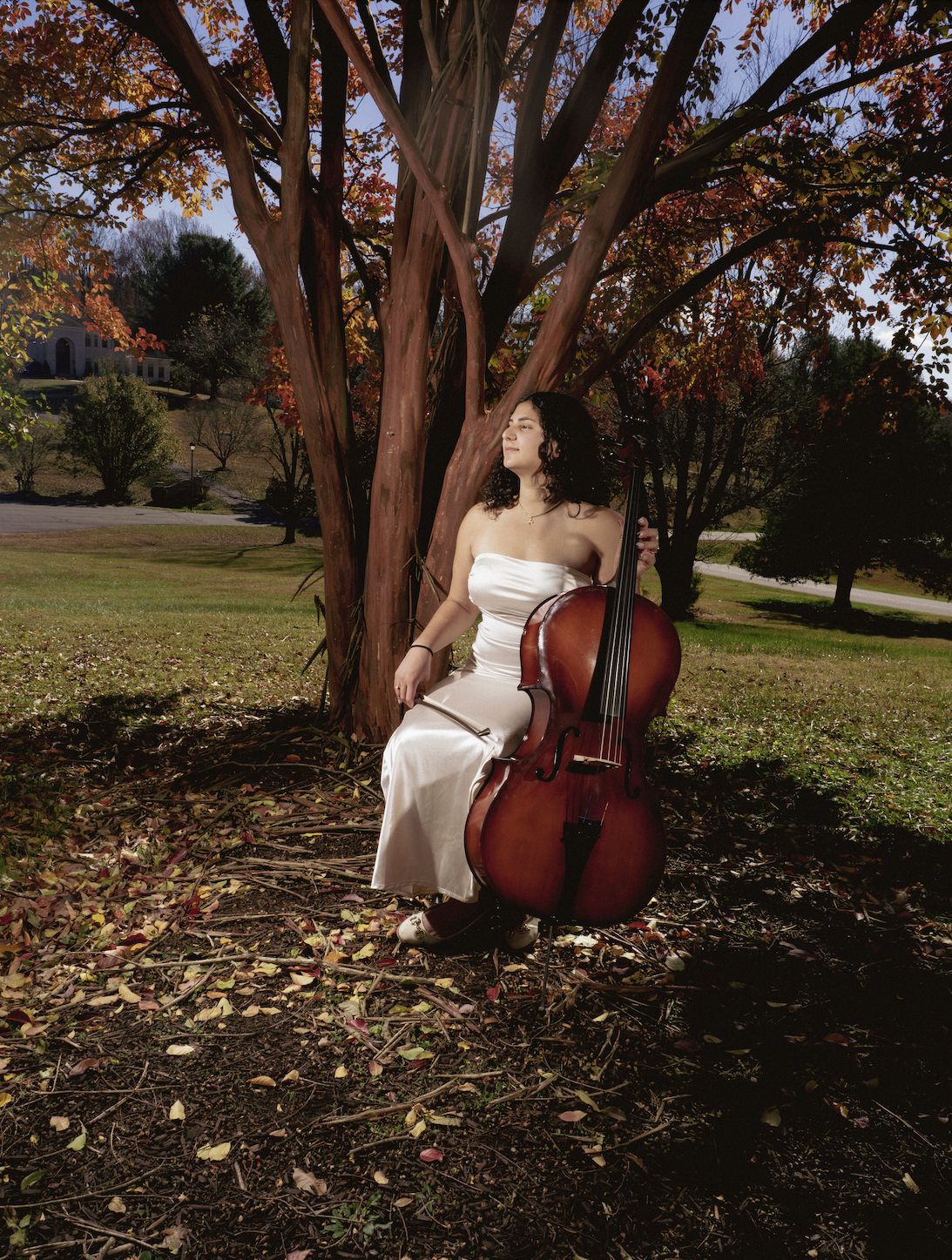 Screenshot 2026-02-10 at 11.41.32.png