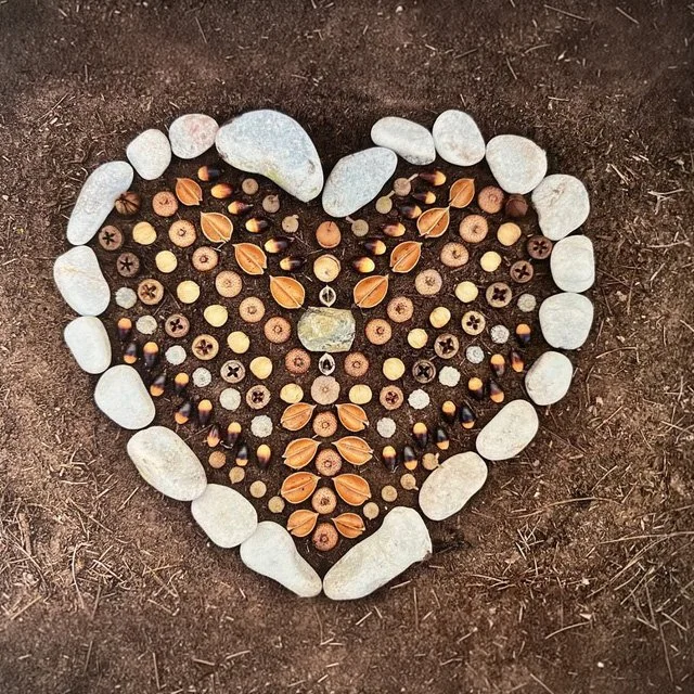 Heart shape made of various natural objects on soil, bordered by white stones.