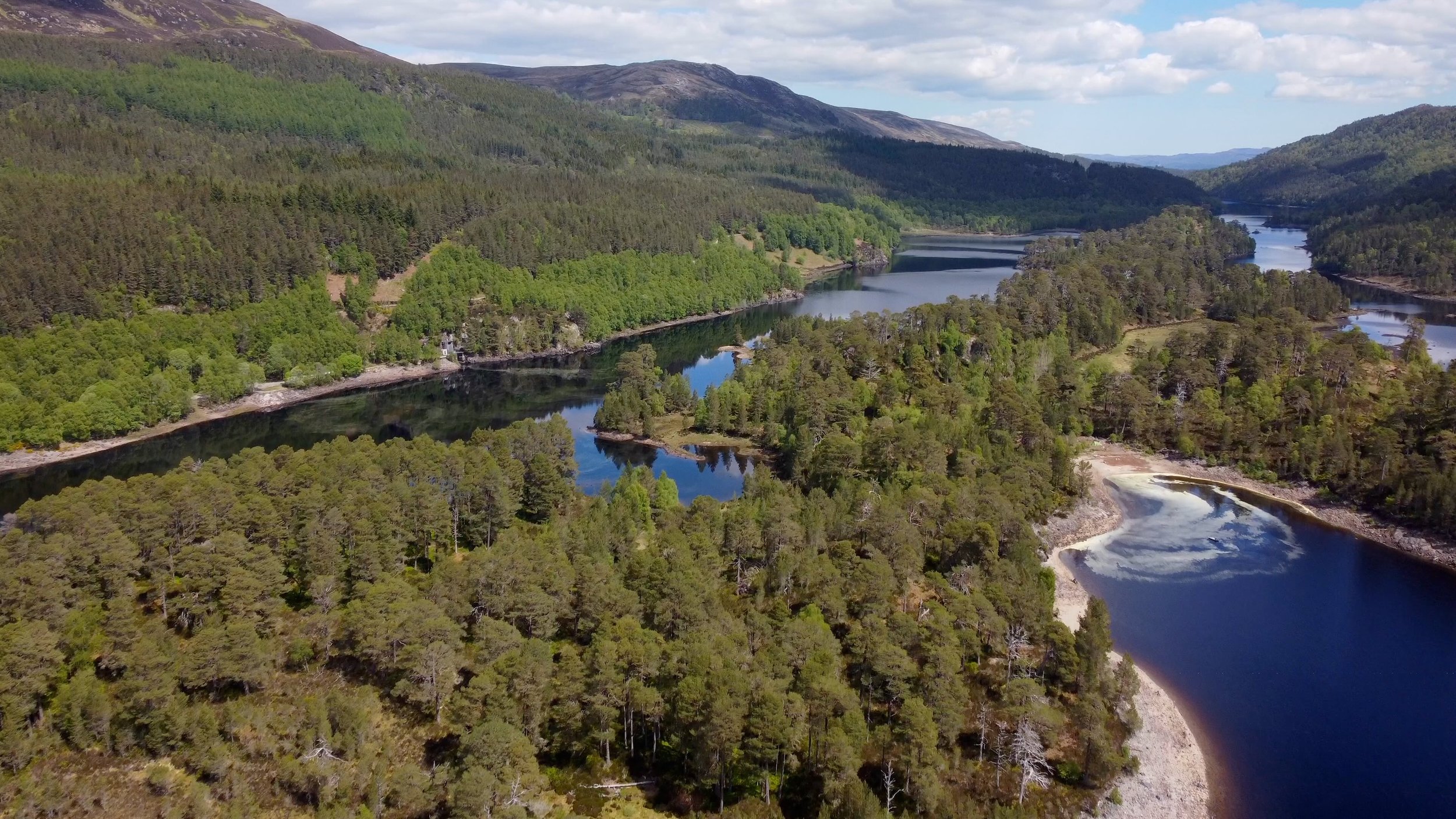 Enchanting Royal Highlands | Glen Affric & Historic Beauly
