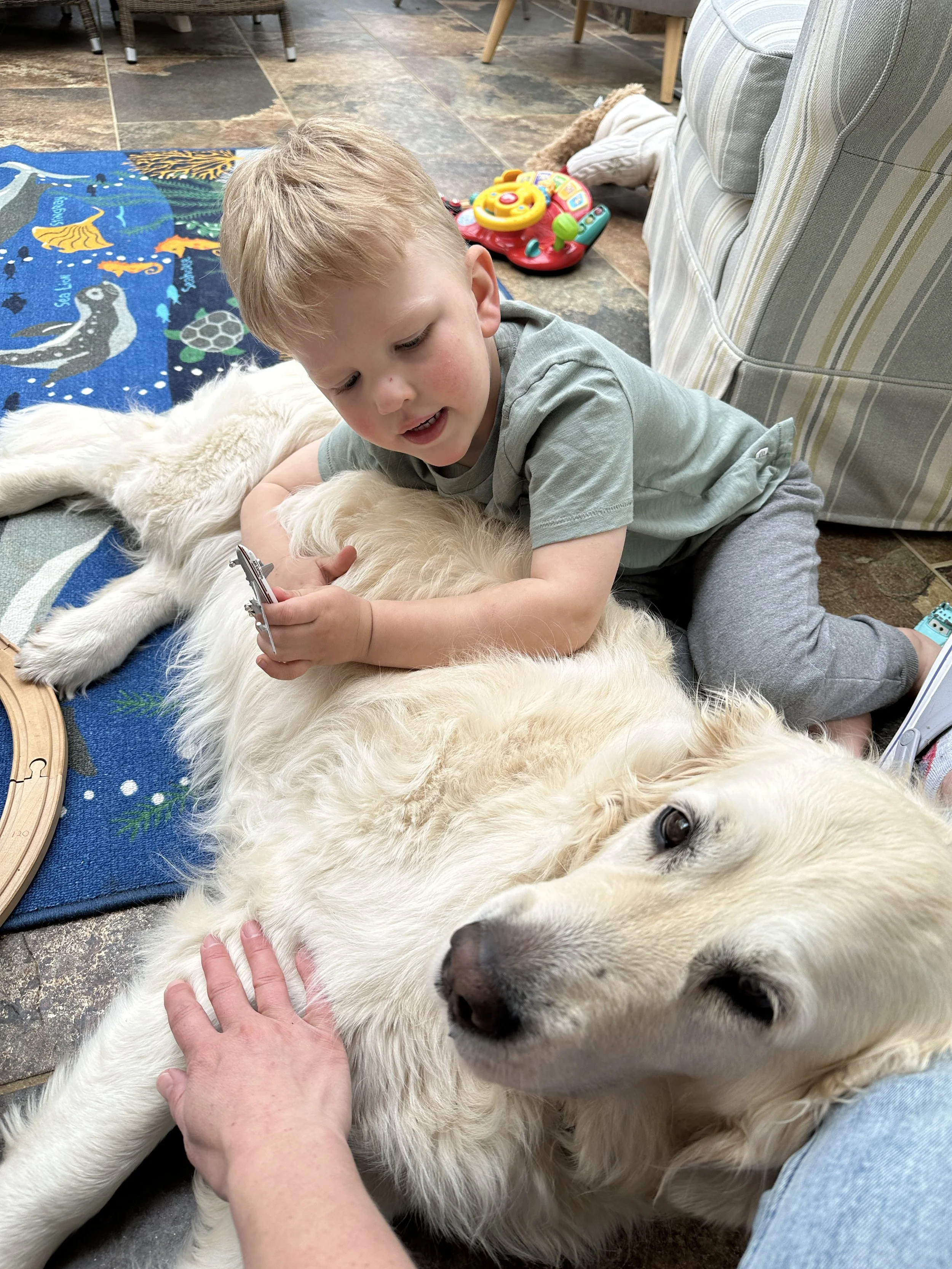 A young boy is lying on the floor, petting a golden retriever dog and holding a toy, while an adult hand is resting on the dog's side. The dog is lying on a mat with a colorful ocean and sea creatures design. In the background, a children's toy and part of a sofa are visible.