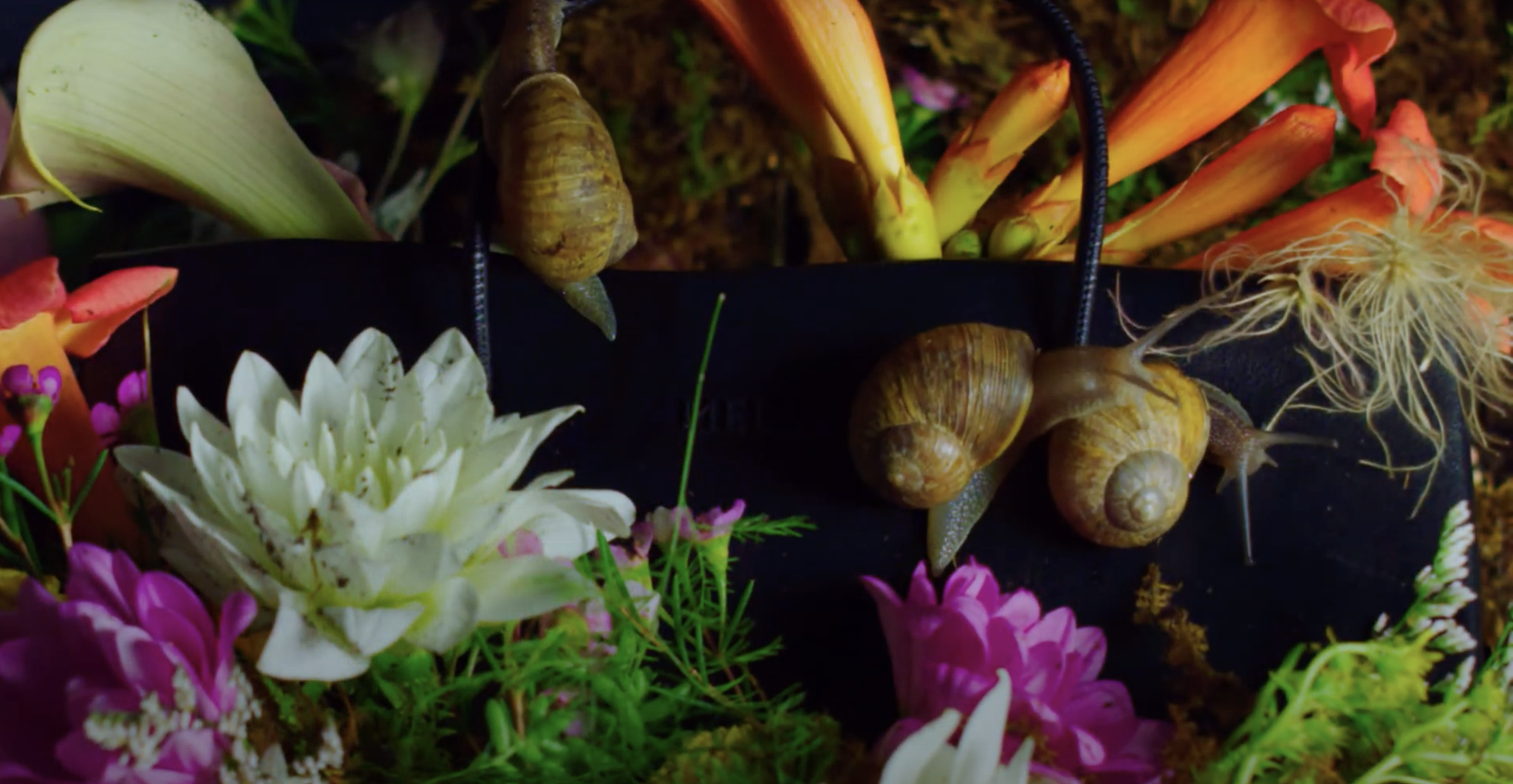 Screen Shot 2021-07-29 at 12.35.55 PM.png