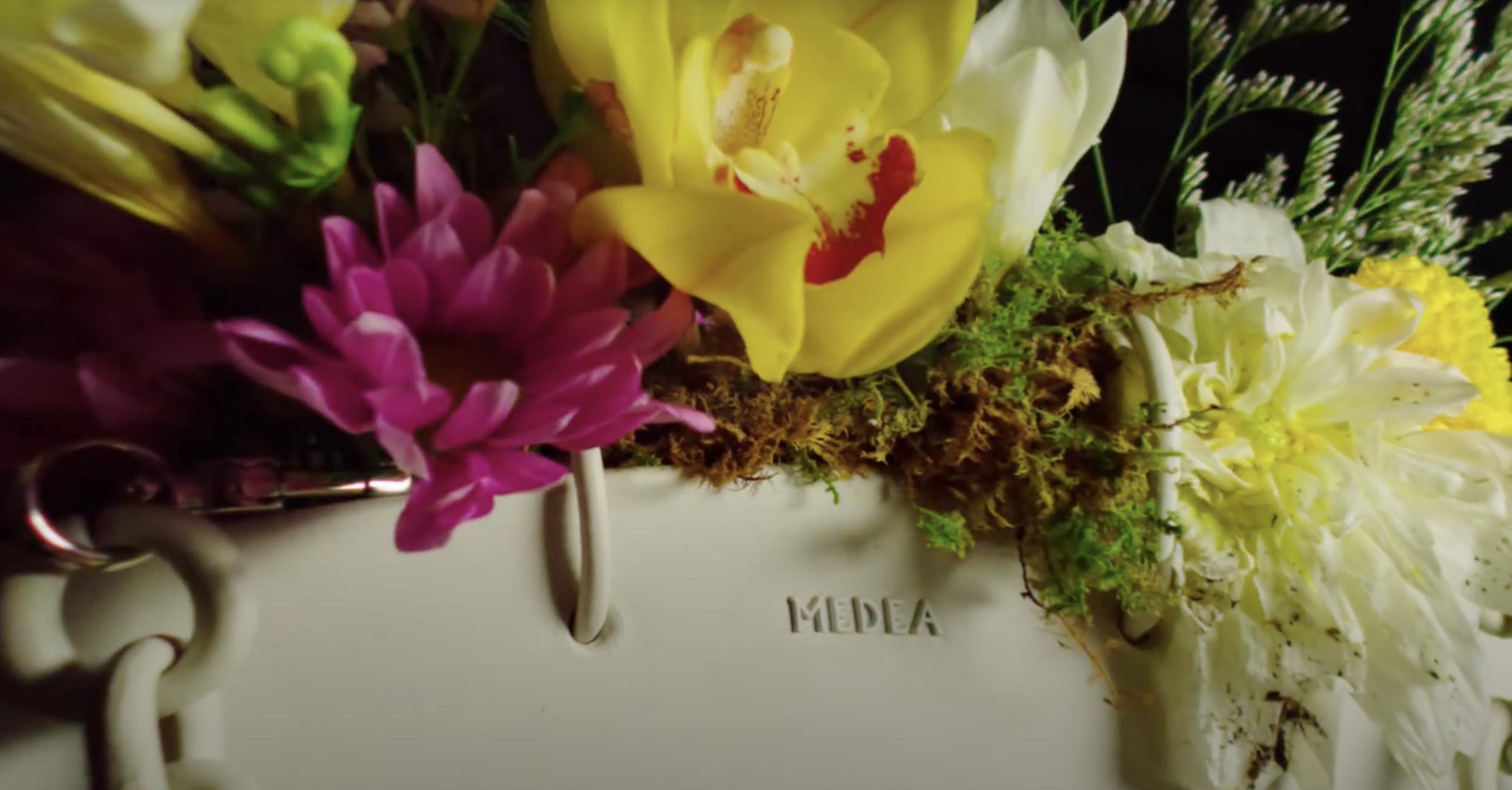 Screen Shot 2021-07-29 at 12.33.17 PM.png