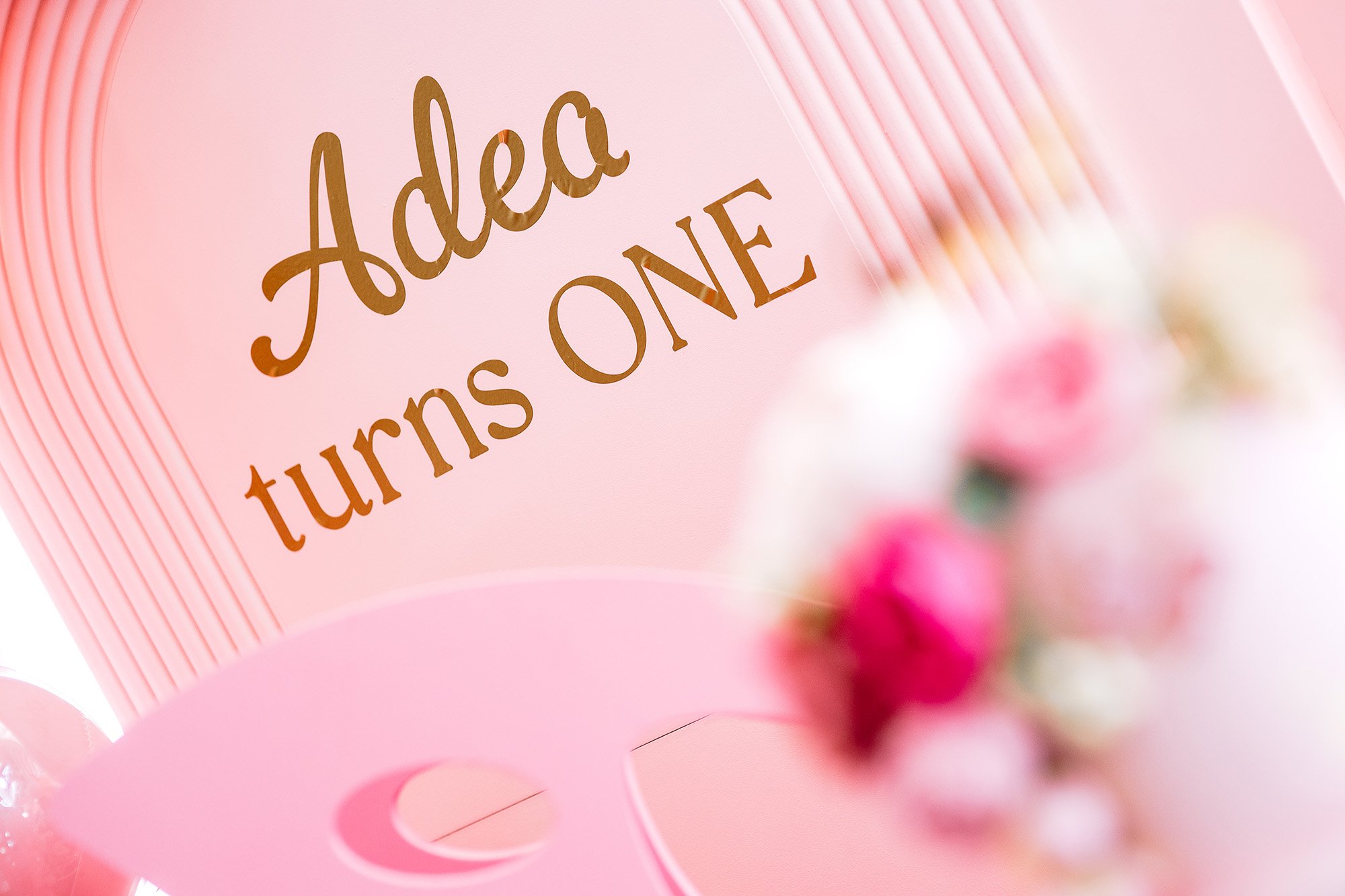 Cambridge Photographer Near Me First Birthday R85_3812.jpg