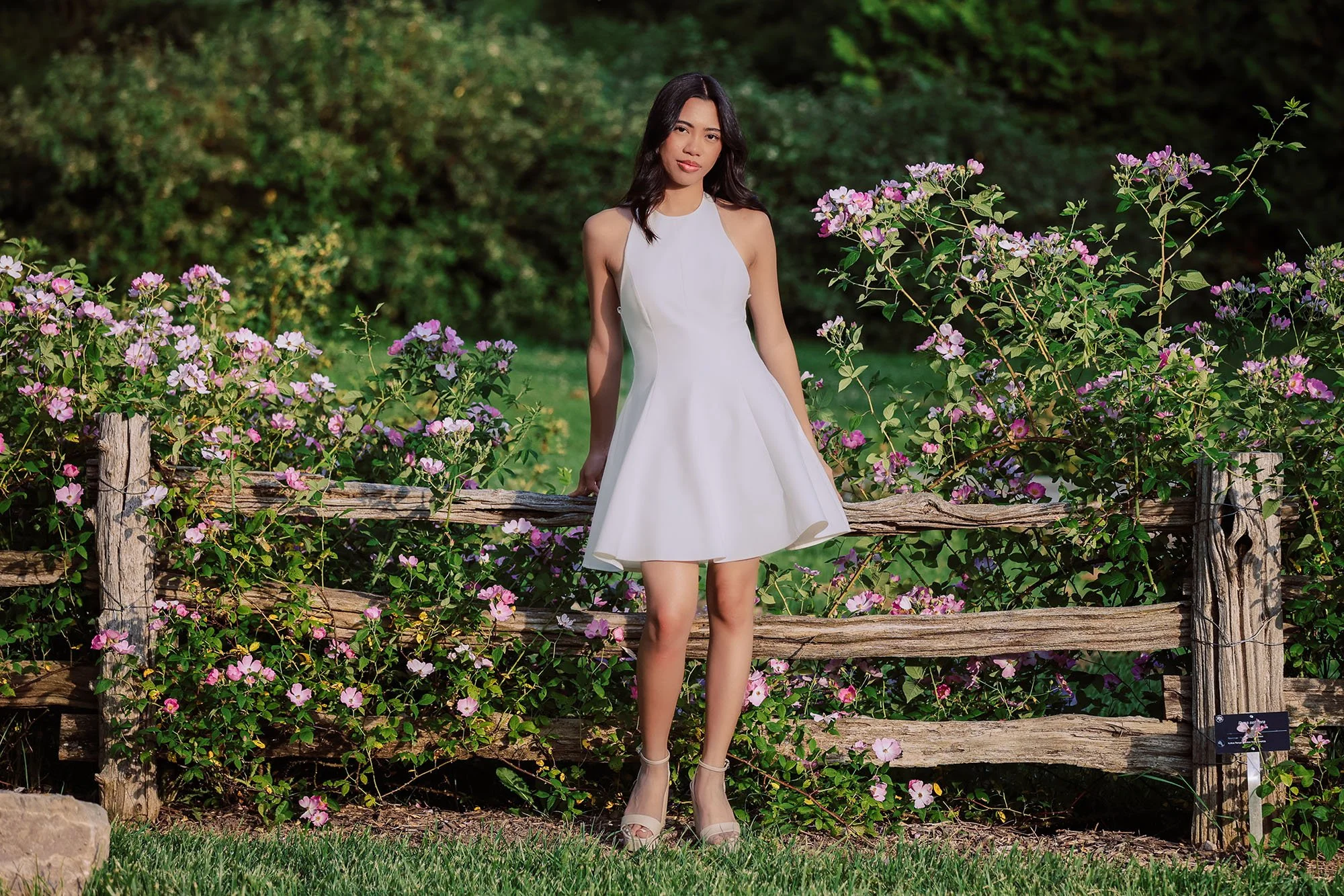 Kitchener Photographer Near Me Birthday Photography 62_5825.jpg