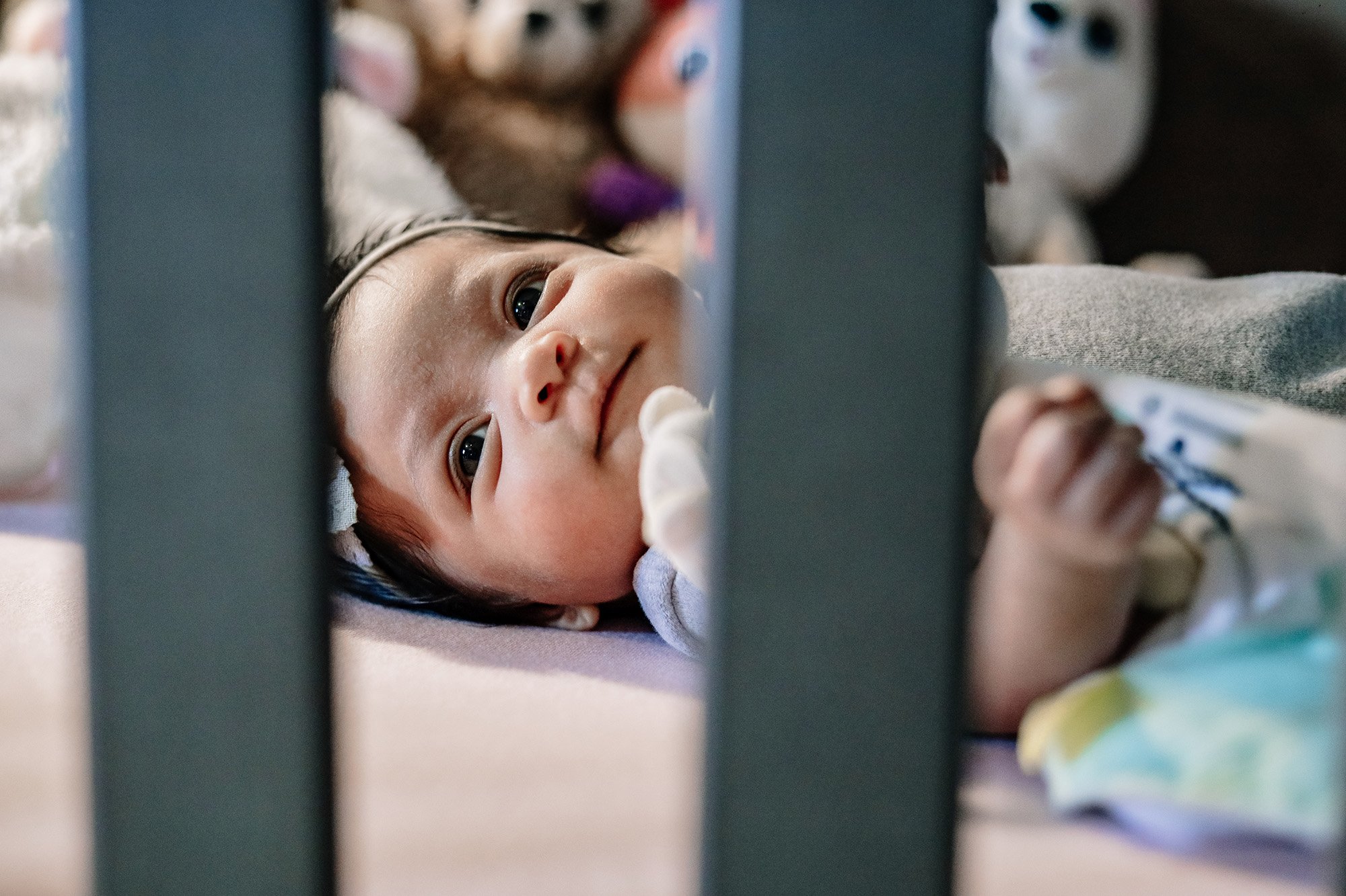 Hamilton Photographer Near Me Lifestyle Photography R24_8584.jpg