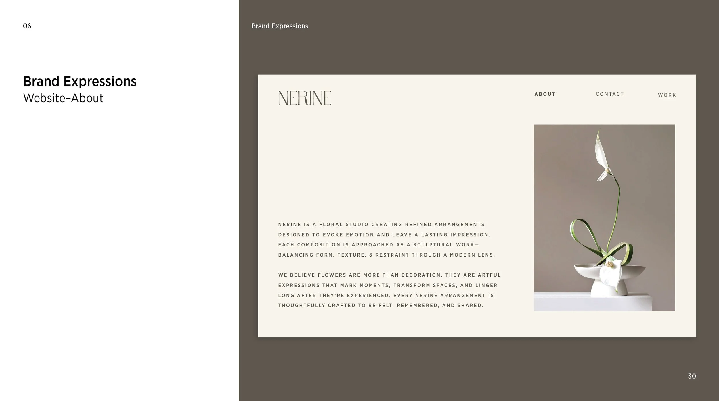 nerine-brand-guidelines30.jpg
